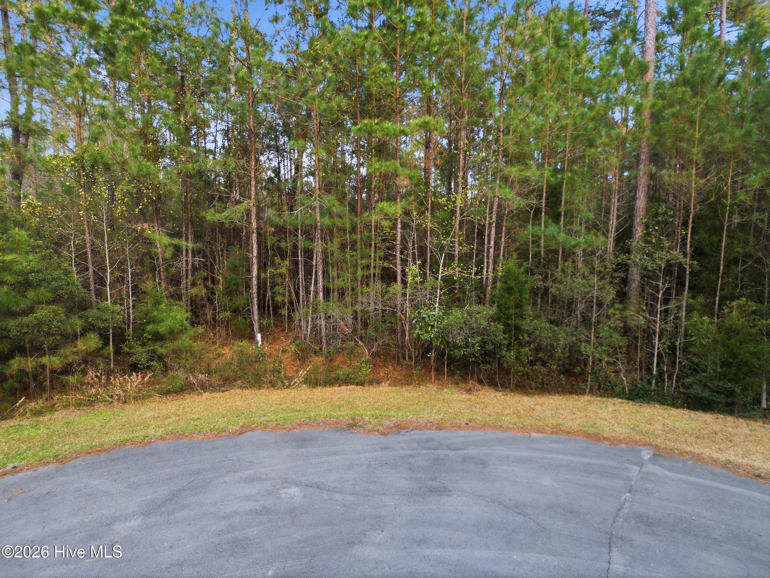 Residential Lot at 121 Mason Lane, Merritt, NC 28556, photo 4 of 13