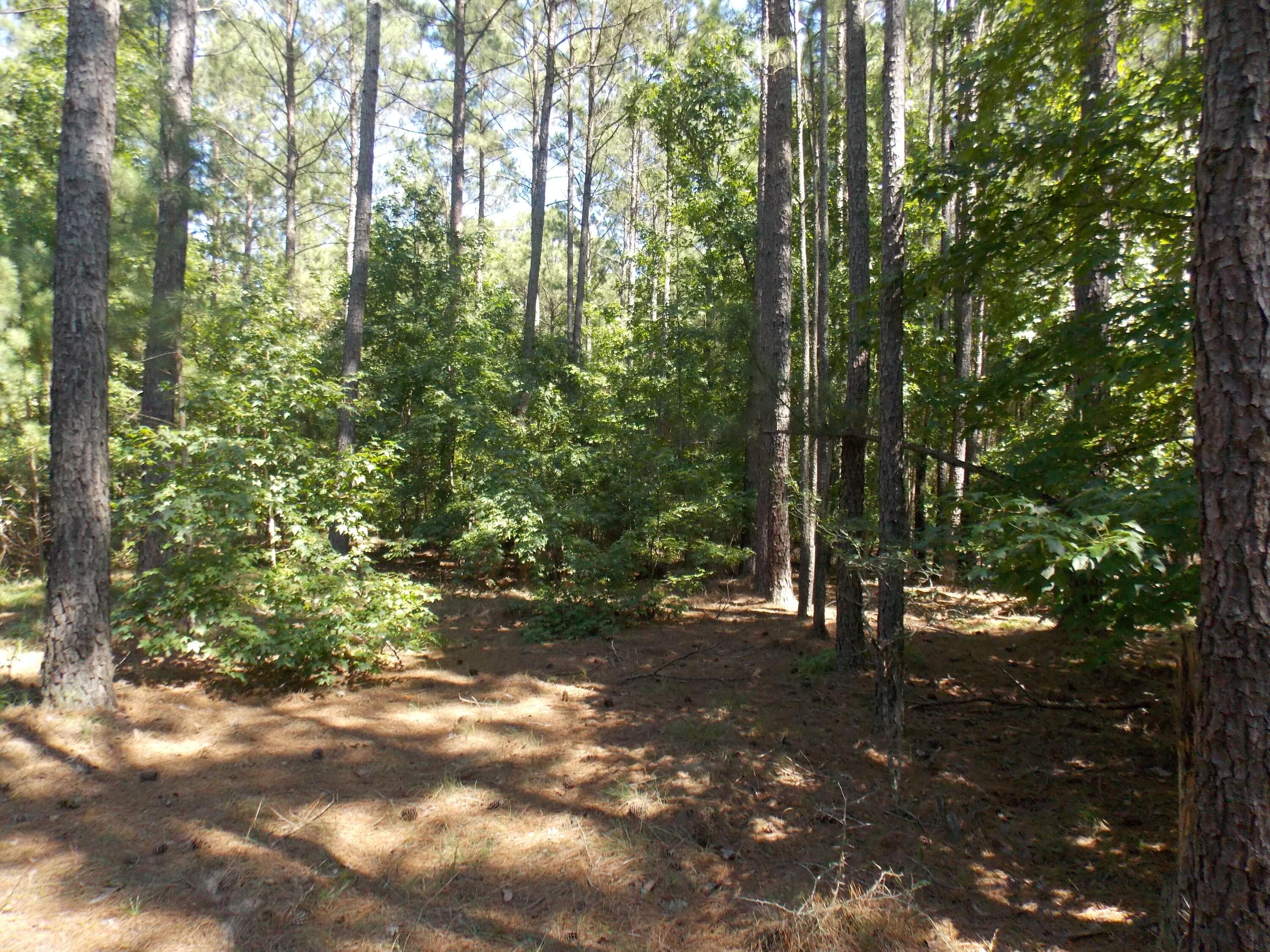 Residential Lot at 73 73 Maiden Cane Way, Lincolnton, GA 30817, photo 2 of 4