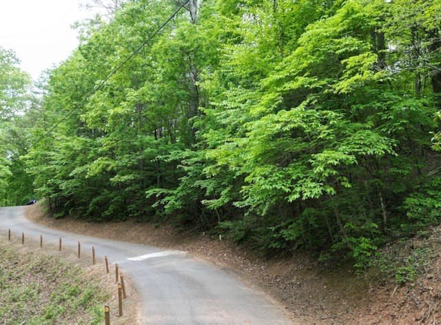 Residential Lot at Lot 13 13 Dogwood Trail, Robbinsville, NC 28771, photo 3 of 6
