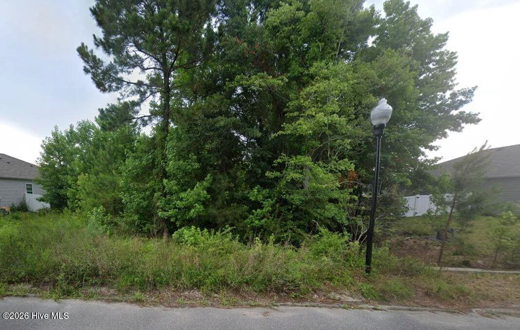 1350 Cadbury Castle Drive SE, Bolivia, NC 28422