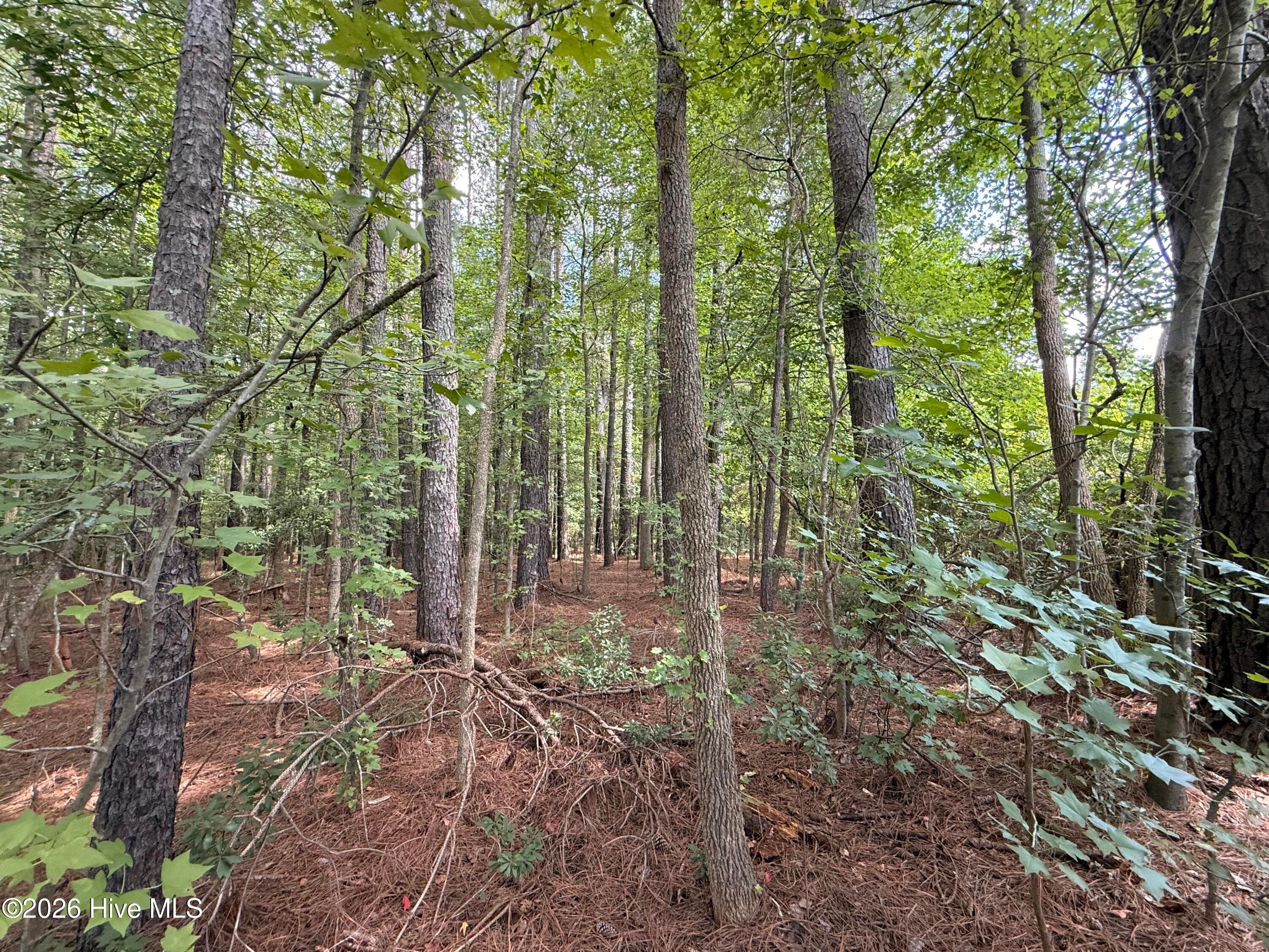Residential Lot at Lot 2b Holland Road, Greenville, NC 27834, photo 5 of 5