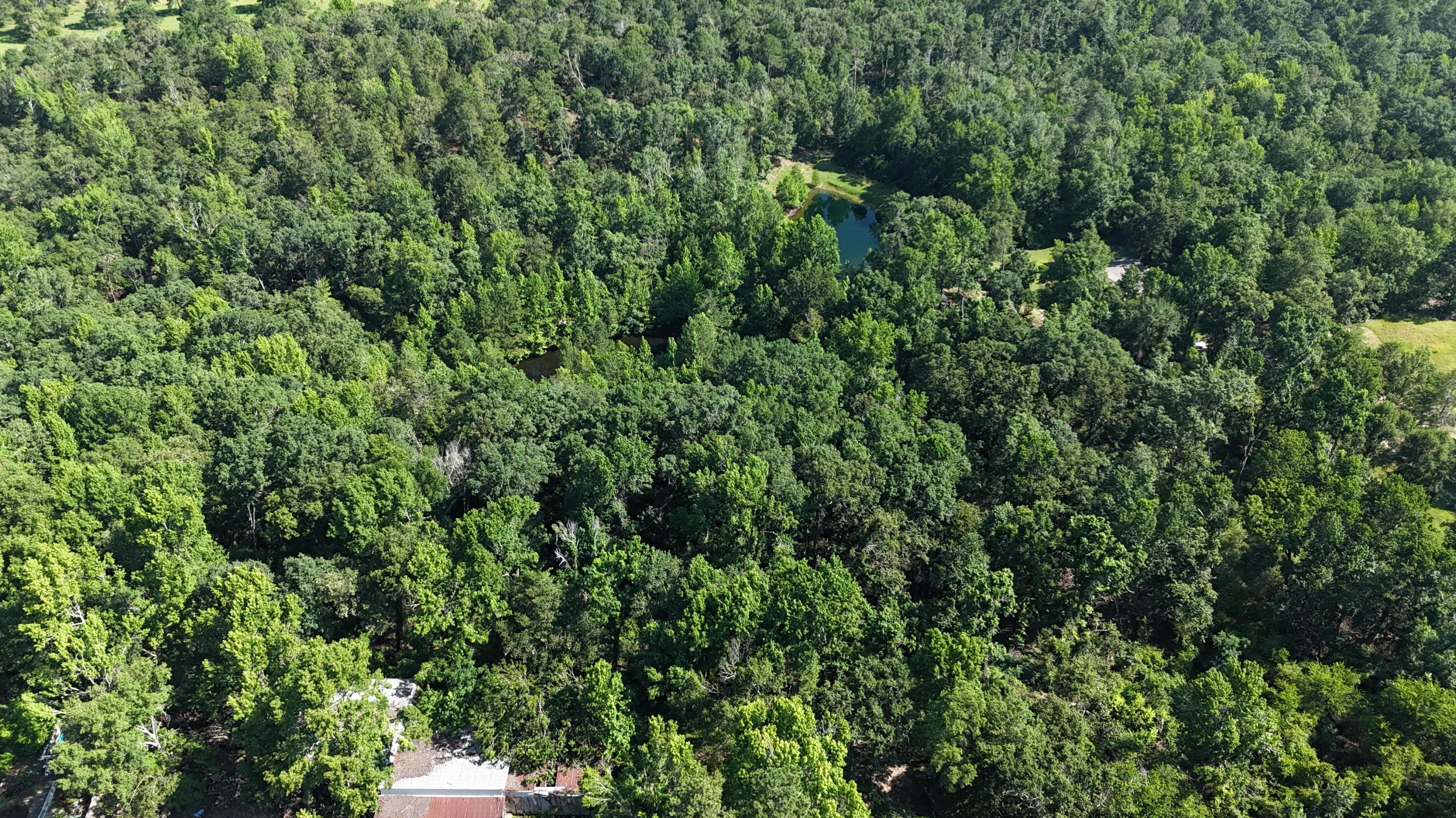 Undeveloped at 2031 Mcdade Road, Hephzibah, GA 30815, photo 9 of 16