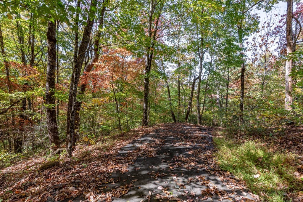 Undeveloped at Lot 38 38 Skyview At Wildlife Acres, Hayesville, NC 28904, Hayesville, photo 7 of 32