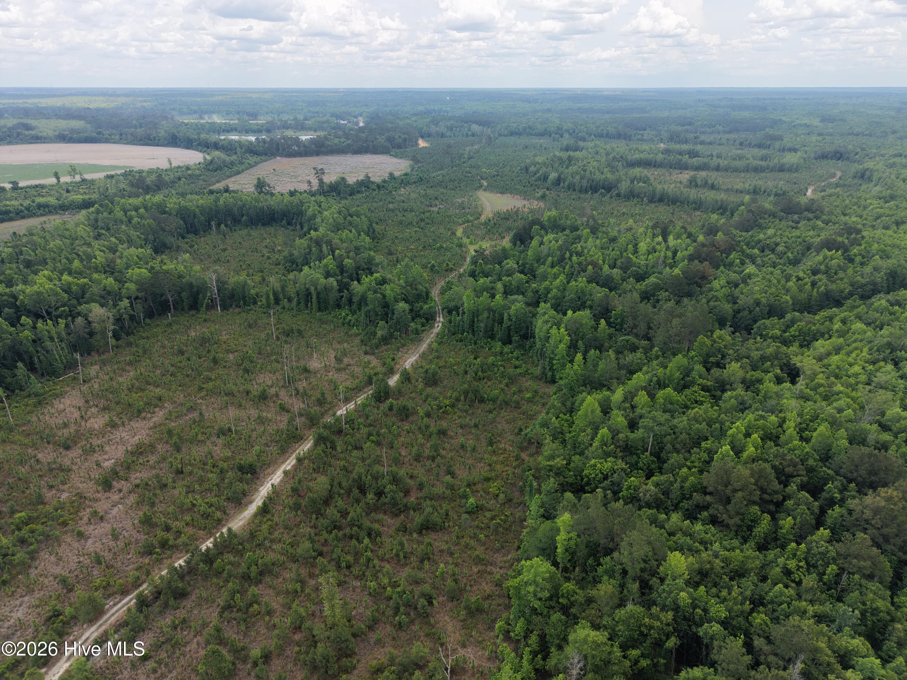 Agriculture at 0 S Hwy 129, Metter, GA 30439, photo 16 of 16