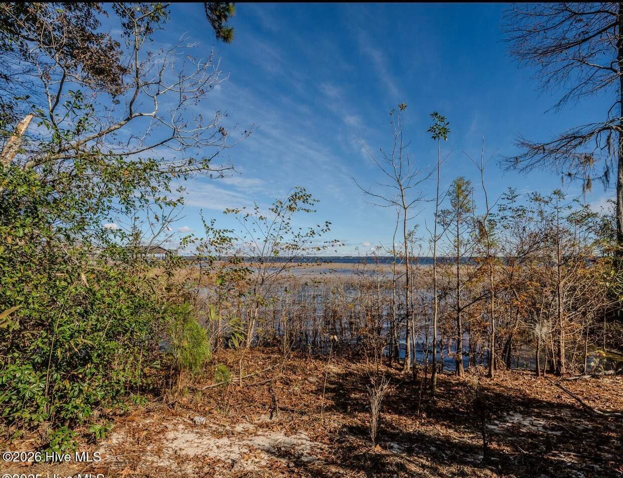 Residential Land at 137-140 137-140 Near 3461 Waccamaw Road S, Lake Waccamaw, NC 28450, photo 12 of 17