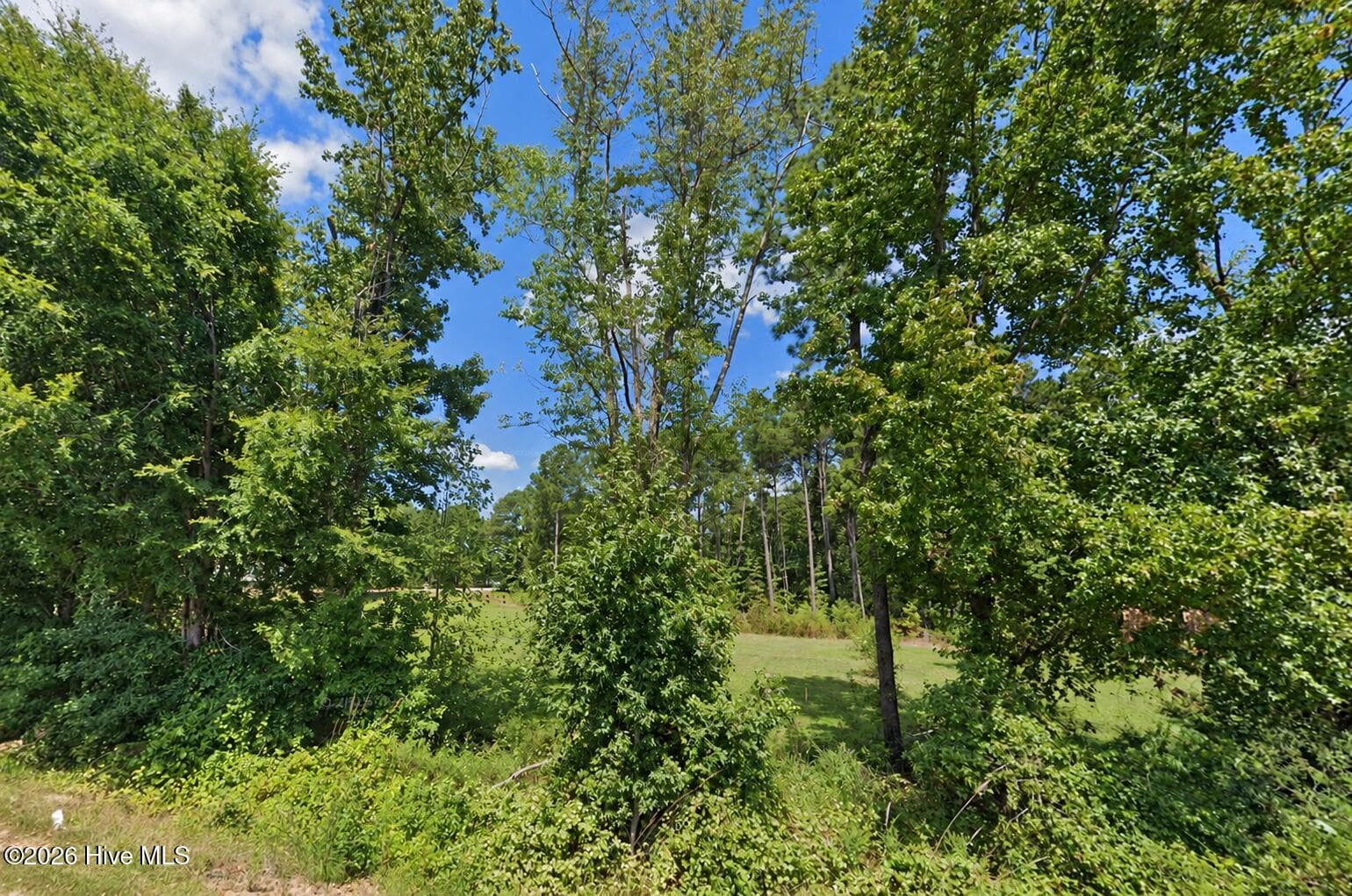 Residential Lot at 0 Rough Lane, Louisburg, NC 27549, photo 4 of 10