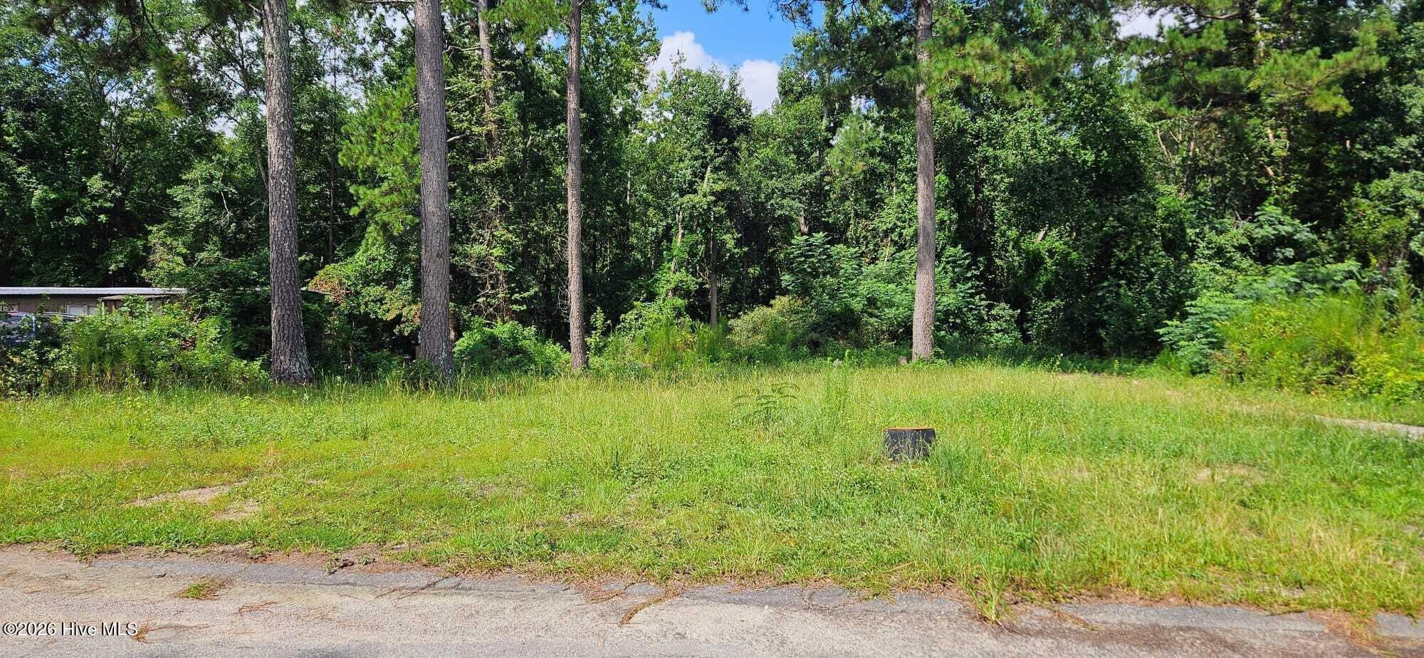 Residential Lot at 2815 April Drive, Augusta, GA 30906, photo 9 of 11