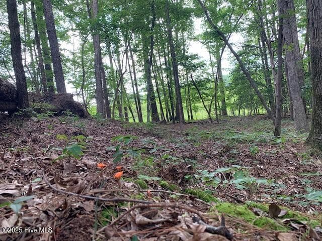 Residential Land at 54 54 Palomino Road, Carthage, NC 28327, photo 12 of 20