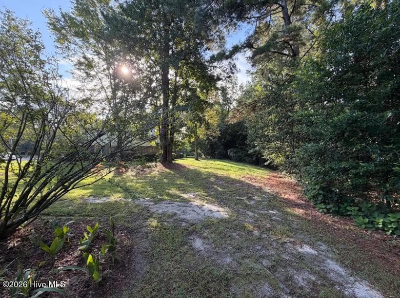 Space behind home - 4908 Marlin Court, Wilmington, NC 28403