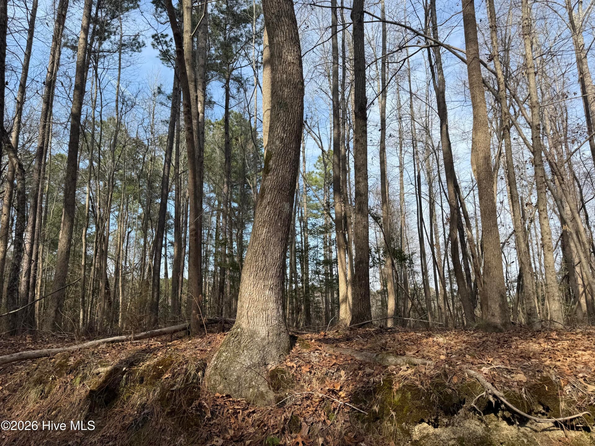 Mixed Use at 269 Creek Road, Bath, NC 27808, photo 15 of 21