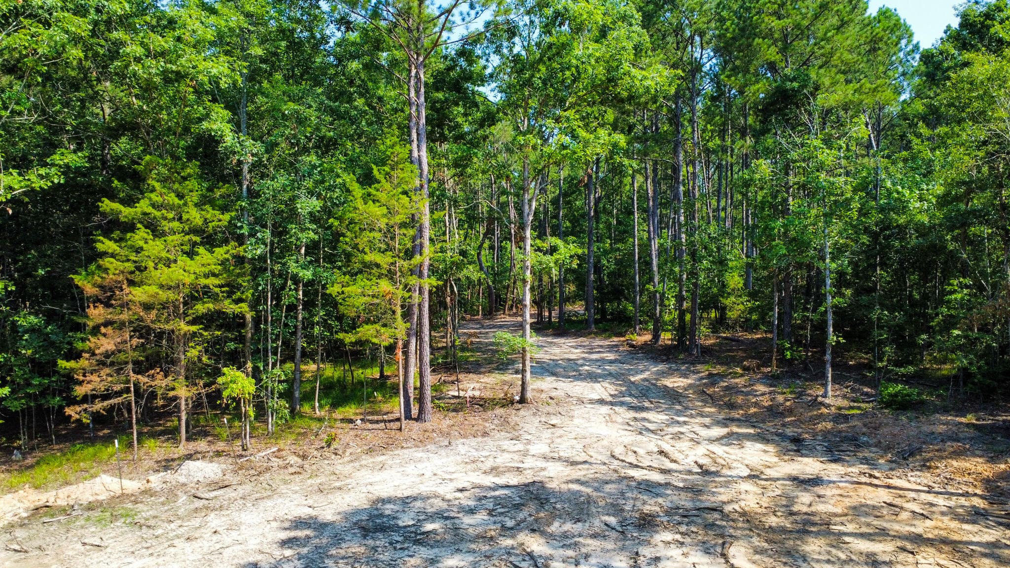 Undeveloped at 0 Backway Road, Lincolnton, GA 30817, photo 32 of 48