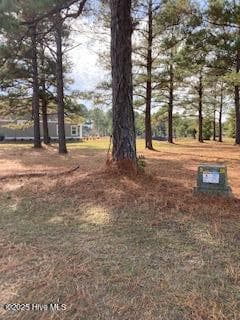 1012 Crosby Circle is located to the left of the utility box. - 1012 Crosby Circle SW, Sunset Beach, NC 28468