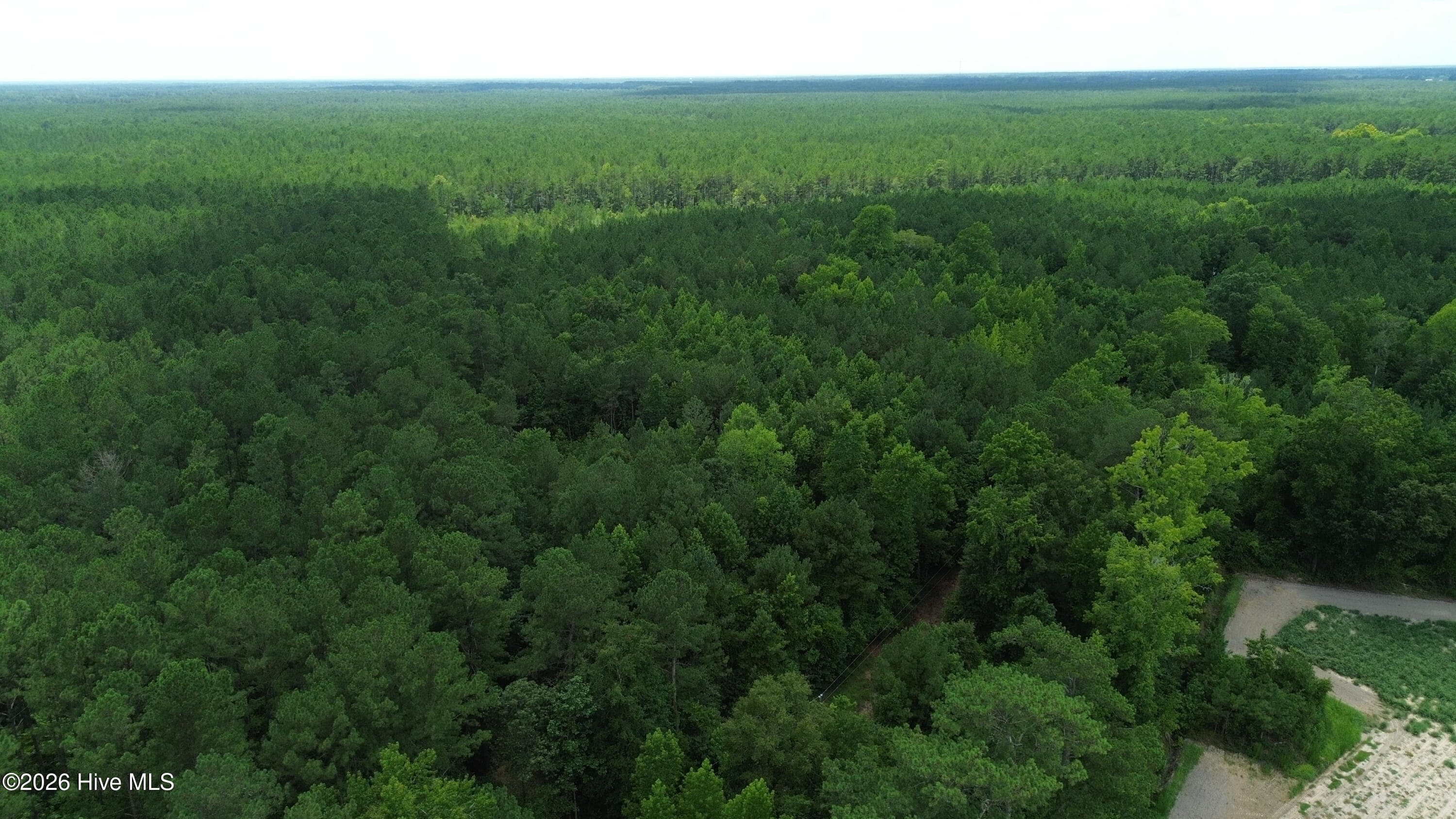 Wooded at Tbd Point Caswell Road, Atkinson, NC 28421, photo 13 of 16