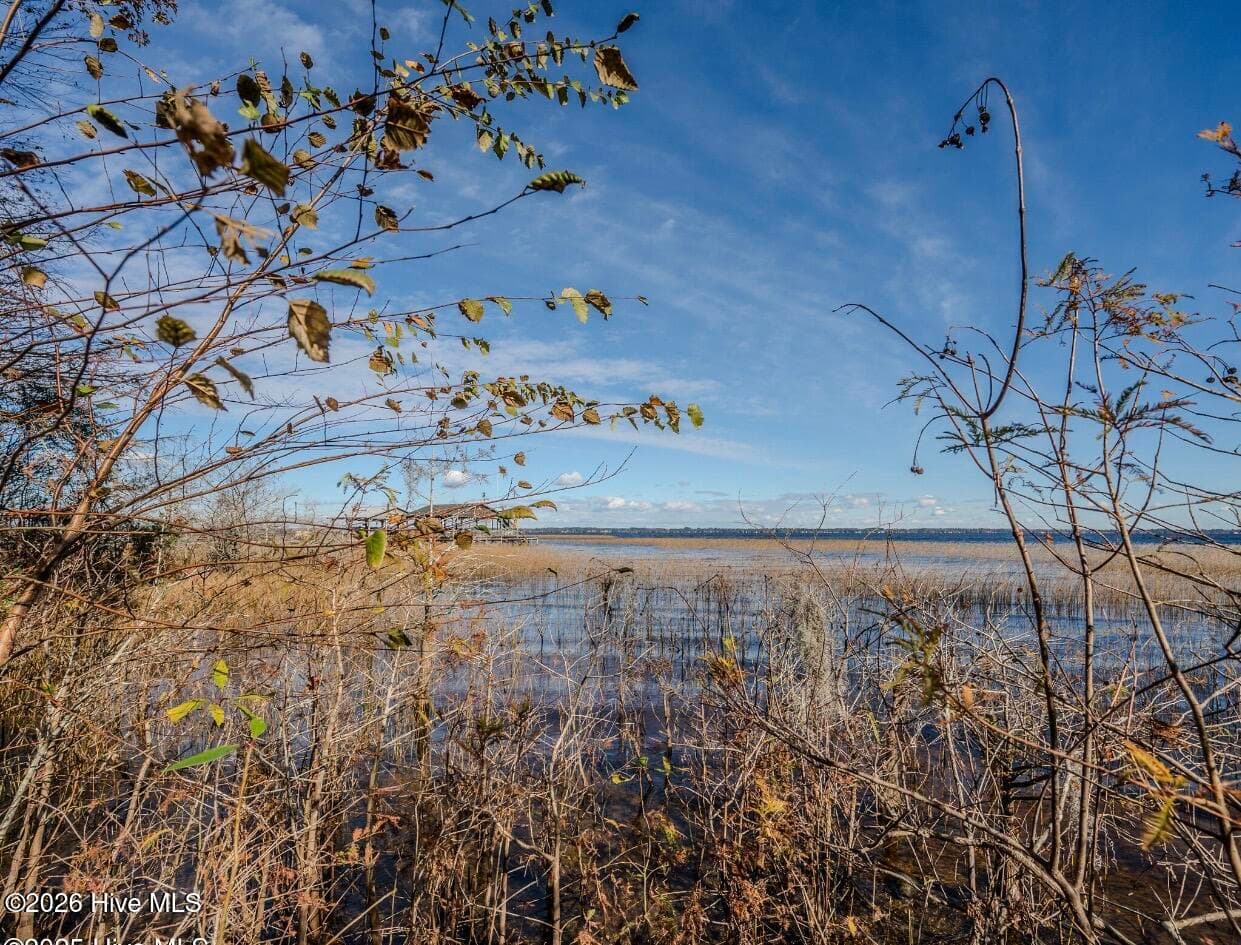 Residential Land at 137-140 137-140 Near 3461 Waccamaw Road S, Lake Waccamaw, NC 28450, photo 11 of 17