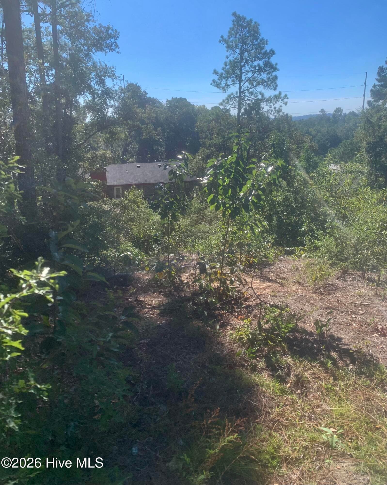 Residential Lot at 2333 Rutherford Avenue, Augusta, GA 30906, photo 5 of 16