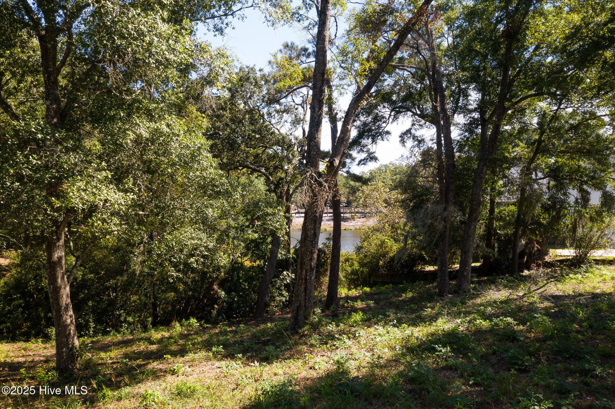 Residential Land at 1884 Russell Hewett Road SW, Supply, NC 28462, photo 11 of 31