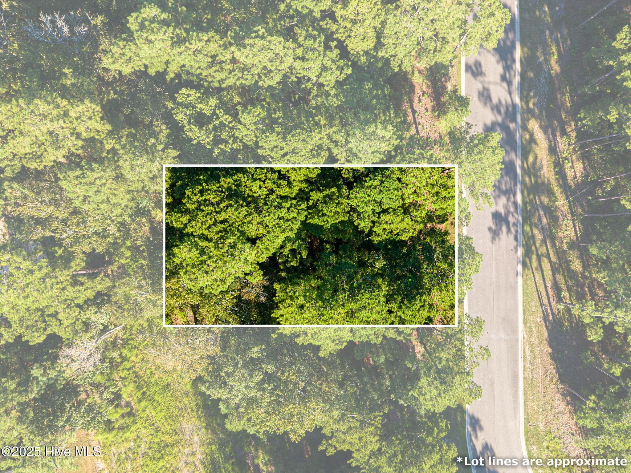Residential Lot at 6092 Isla Mona Drive SW, Shallotte, NC 28470, Shallotte, photo 4 of 13