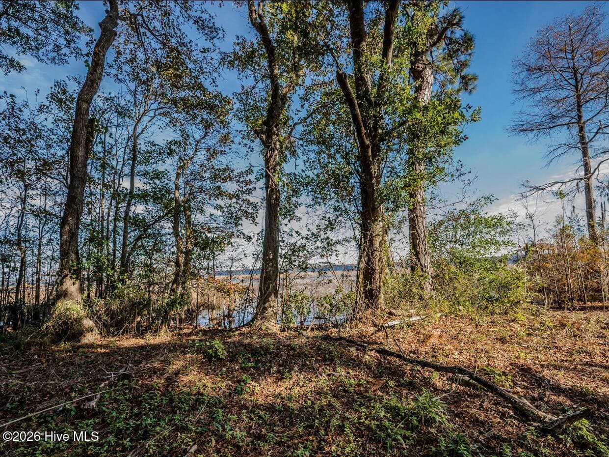 Residential Land at 137-140 137-140 Near 3461 Waccamaw Road S, Lake Waccamaw, NC 28450, photo 13 of 17