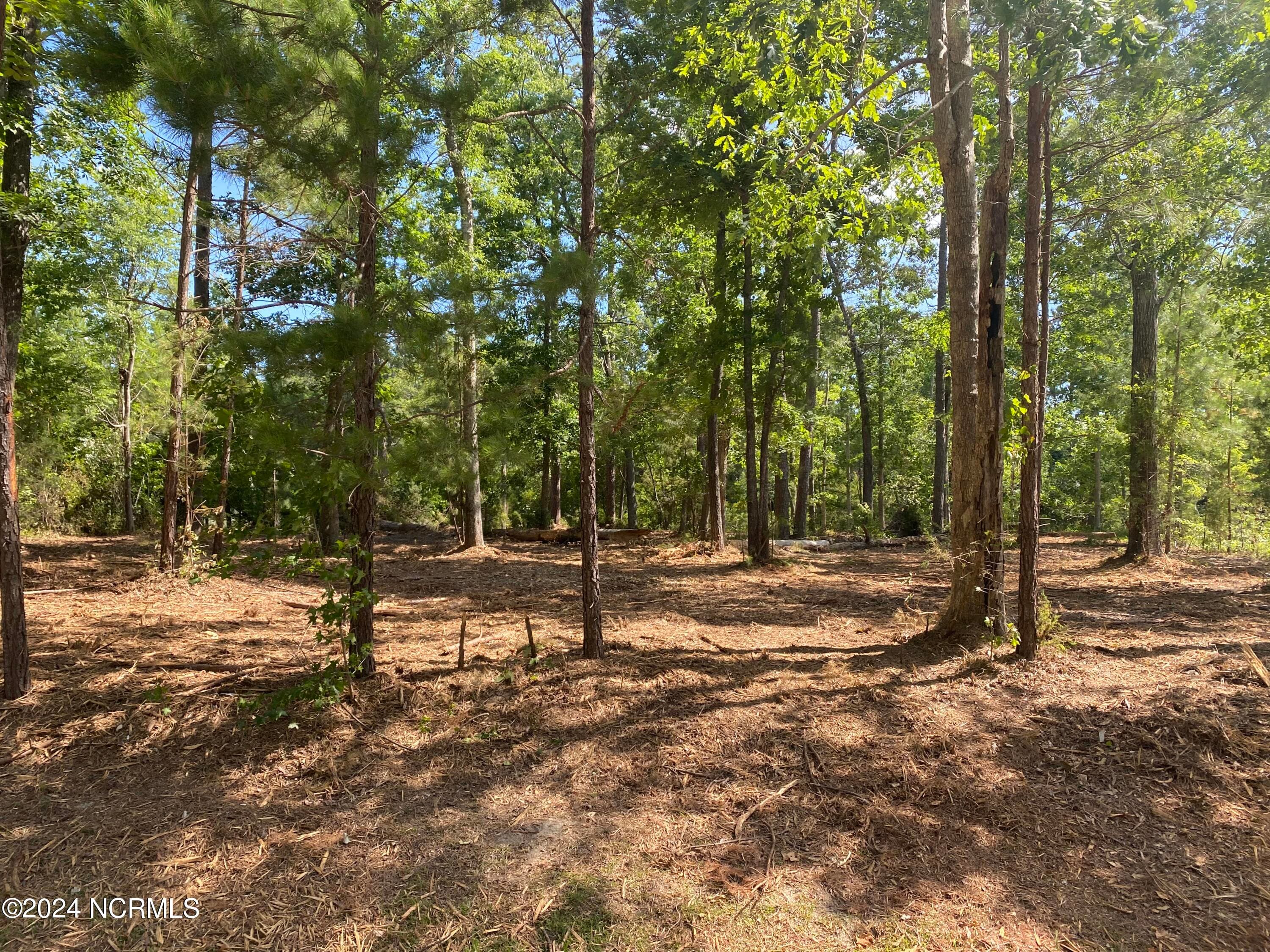 281 96 Winding Creek Drive, Oriental, NC 28571