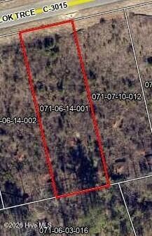 Lot 111 Scentlok Trace, Warrenville, SC 29851