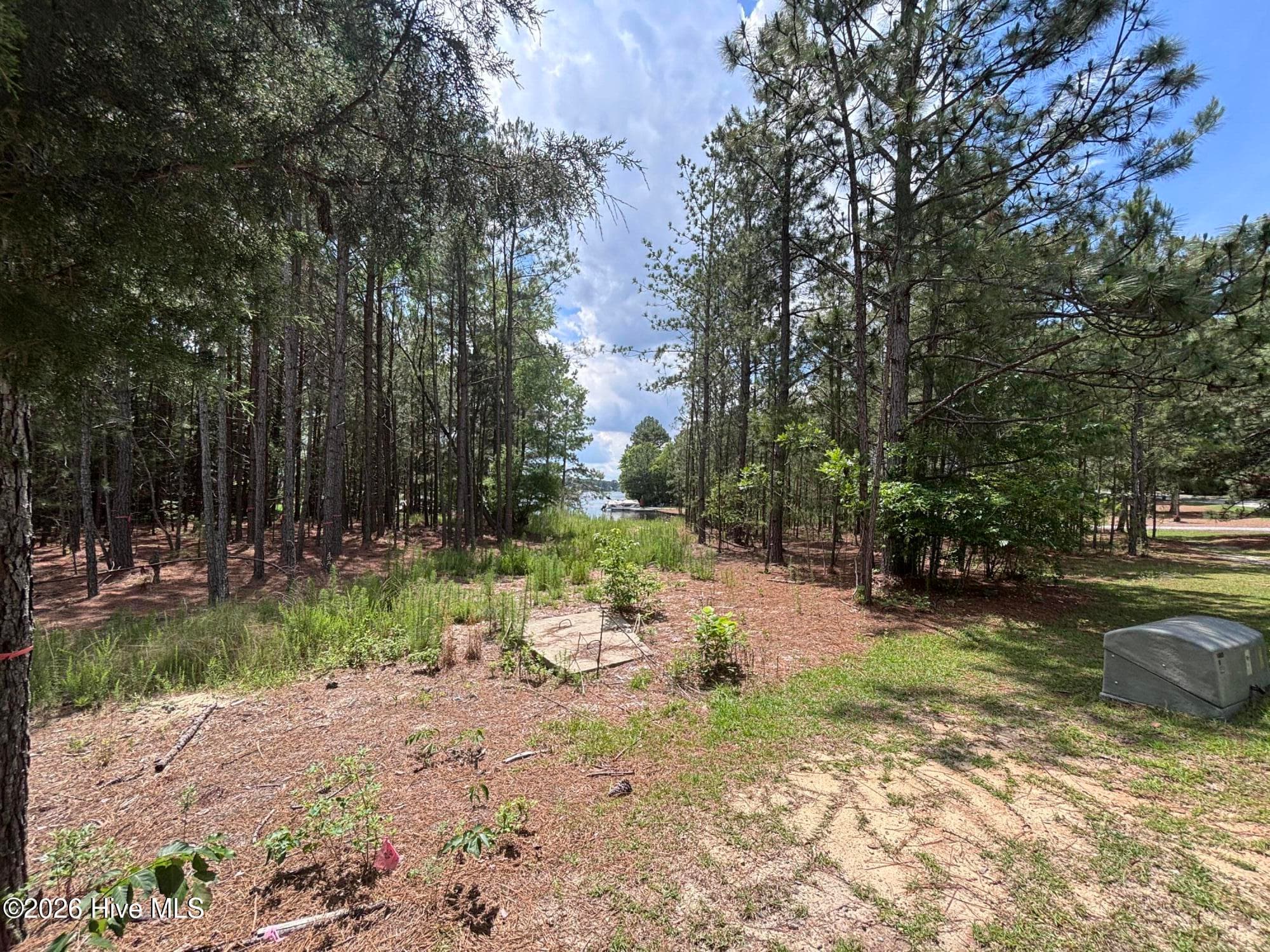 Residential Lot at 449 Longleaf Drive, West End, NC 27376, photo 4 of 11