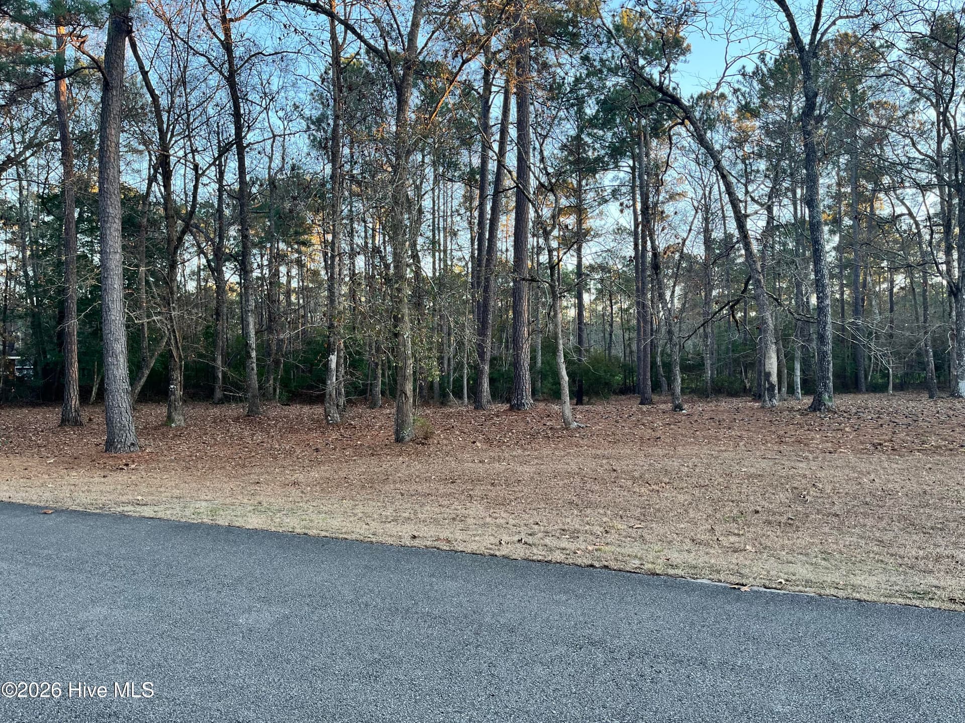 Residential Lot at 822 Loblolly Drive SW, Shallotte, NC 28470, photo 2 of 6