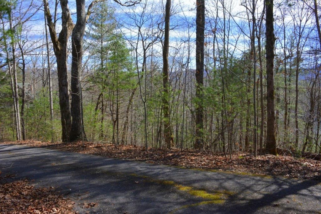 Land at 00 Chestnut Ridge, Robbinsville, NC 28771, photo 3 of 6