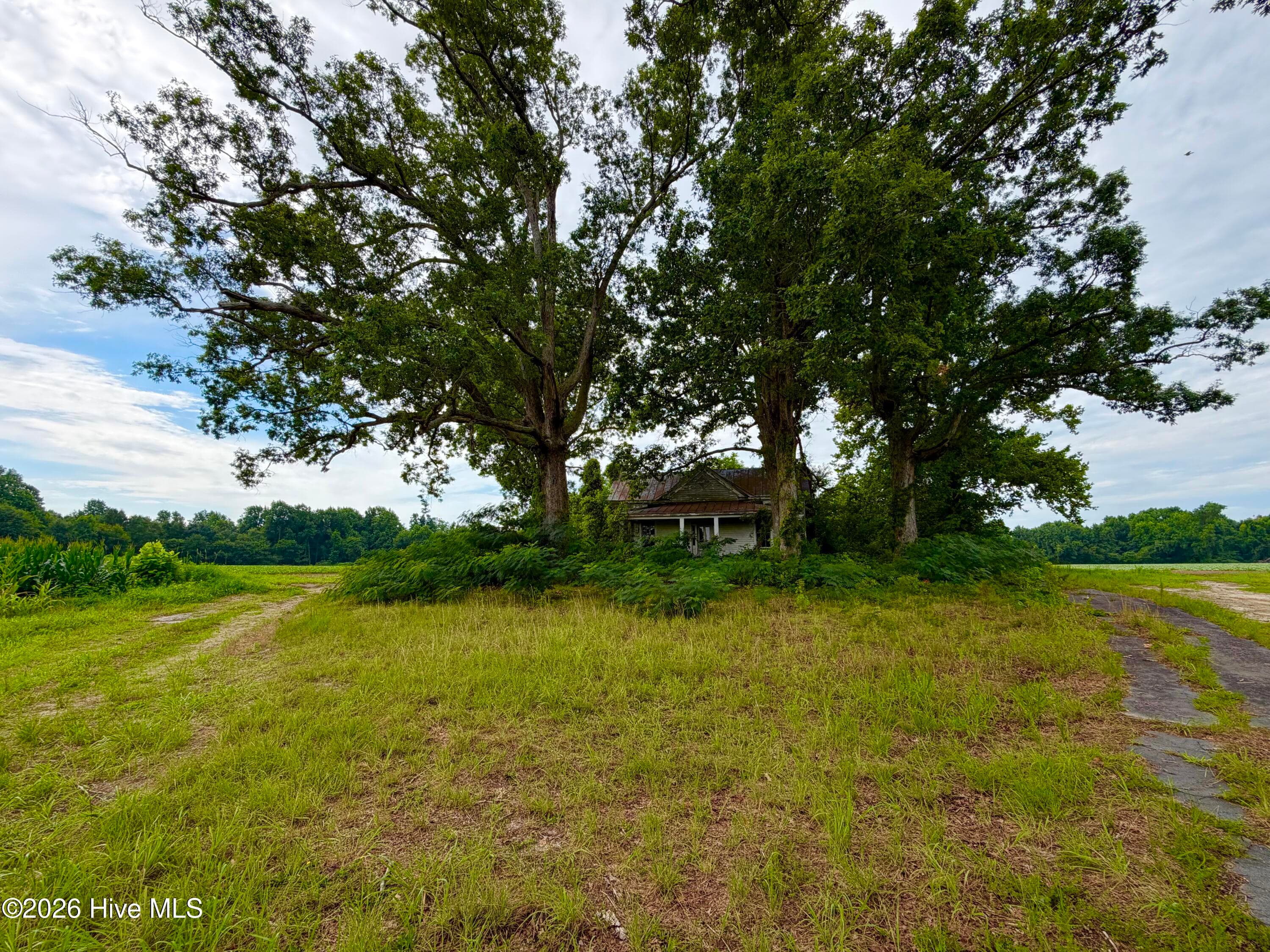 Farm at 478 Davis Mill Road, Fremont, NC 27830, photo 21 of 21