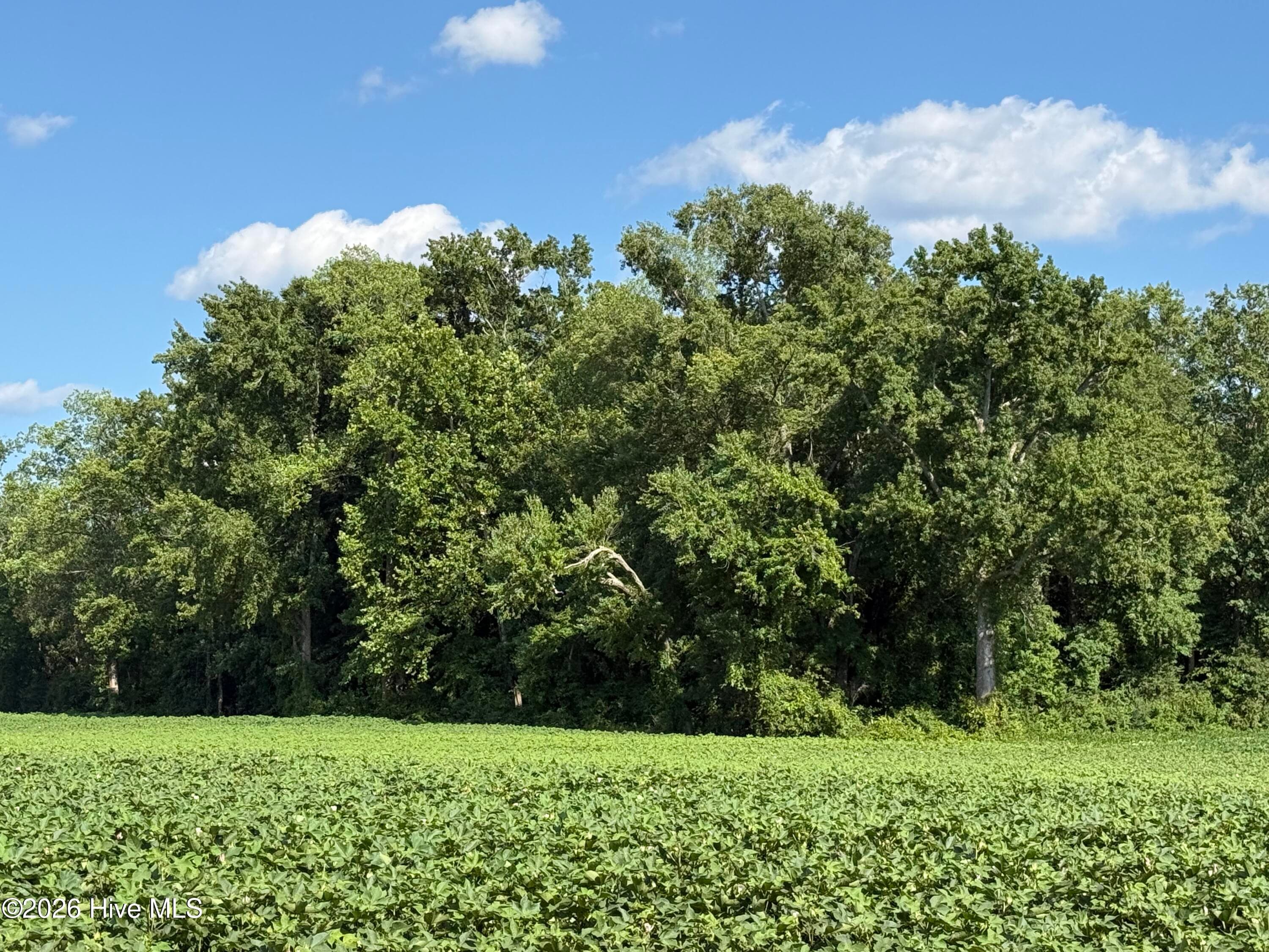 3085 Fire Dept Road, Williamston, NC 27892