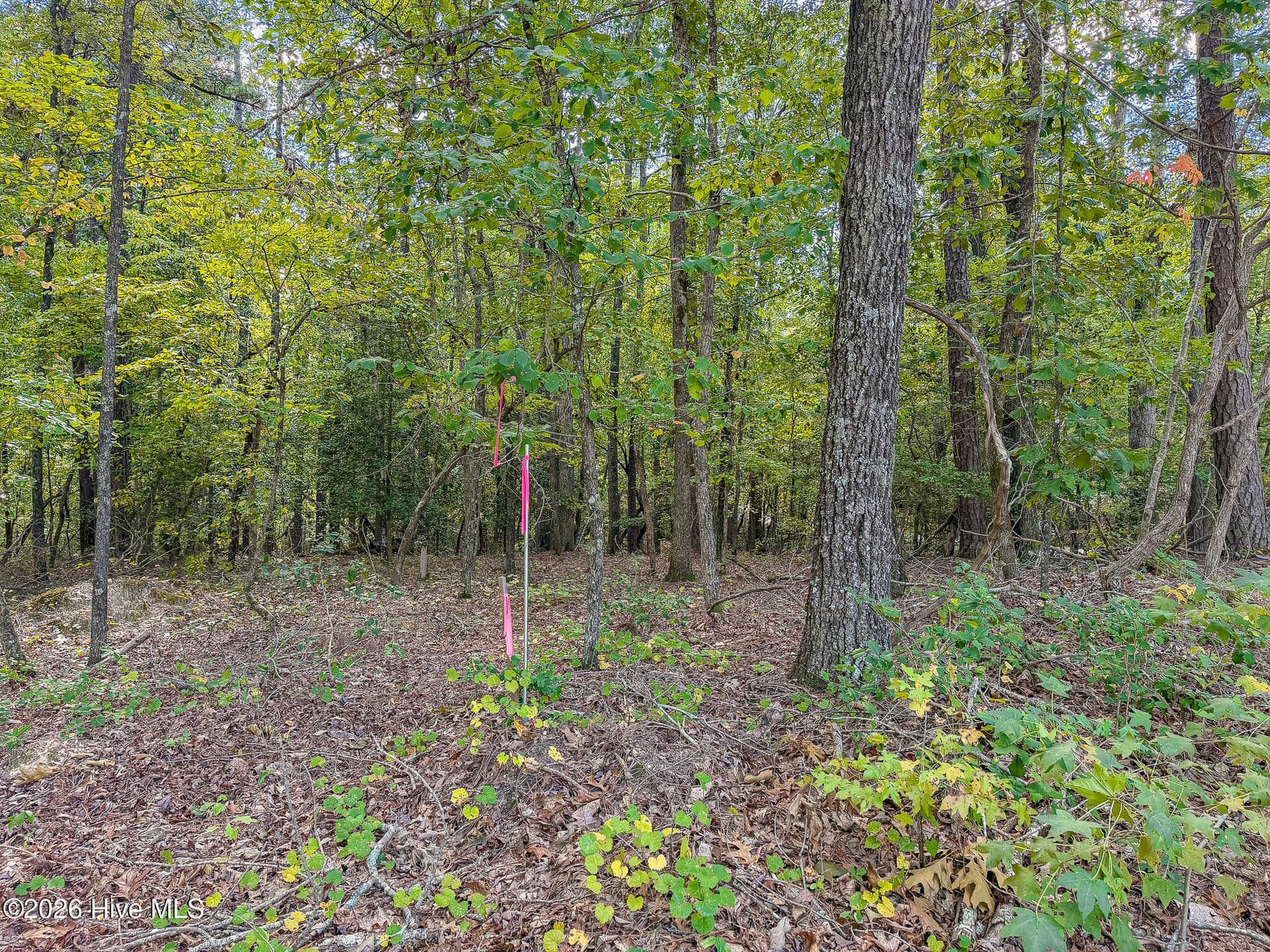Residential Lot at 104 Western Trail, Carthage, NC 28327, photo 8 of 11