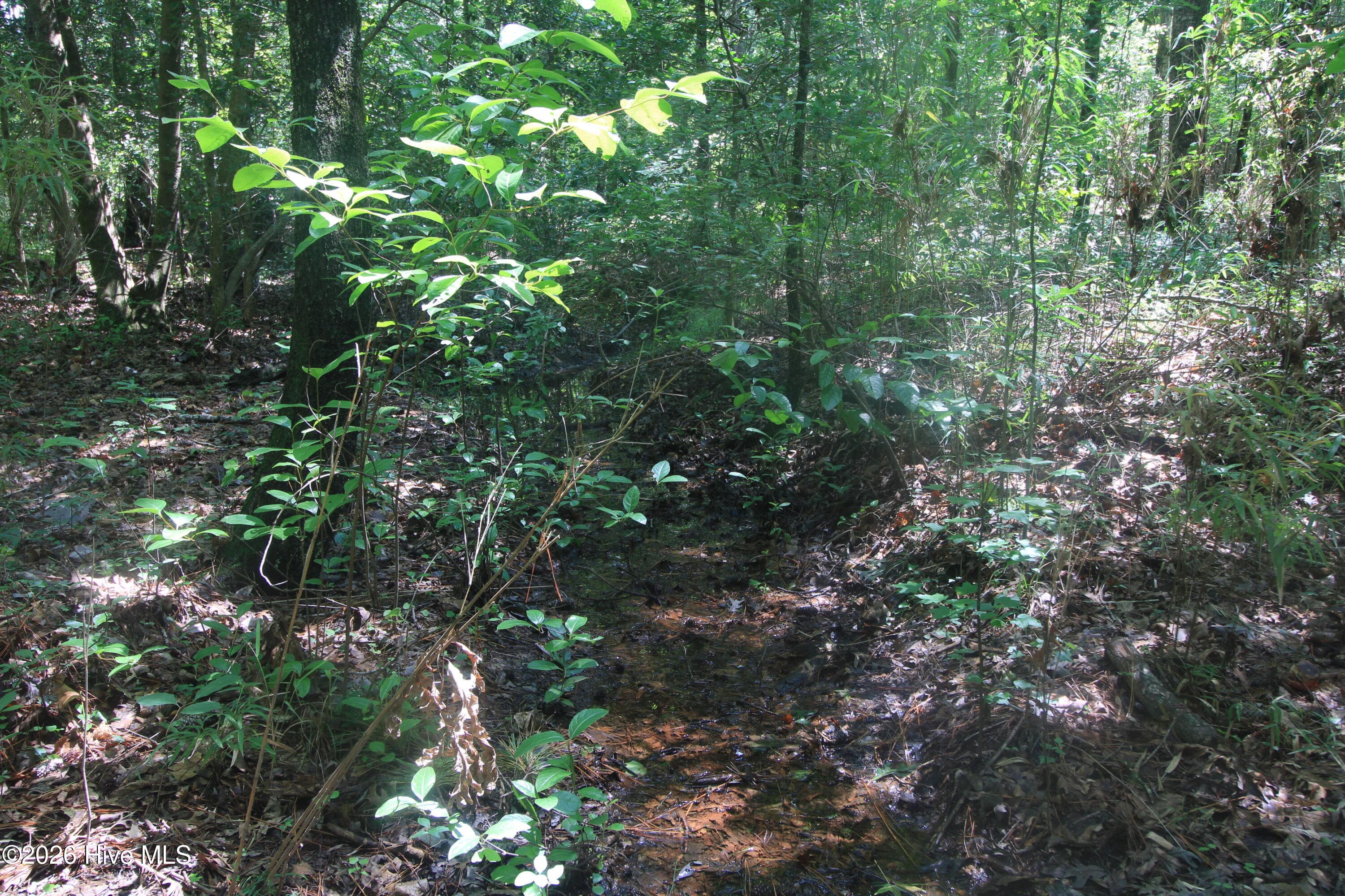Residential Lot at 0 Crowatan Trail, Carthage, NC 28327, photo 12 of 35