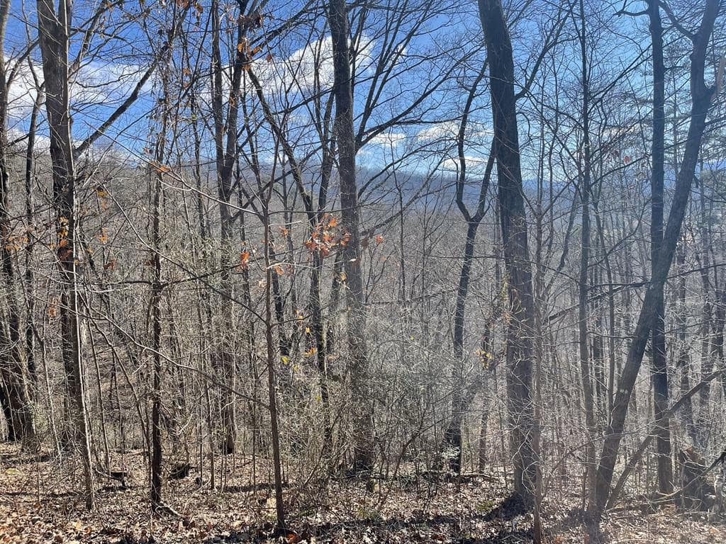 Lot 37c 37C Ash Branch Circle, Hayesville, NC 28904