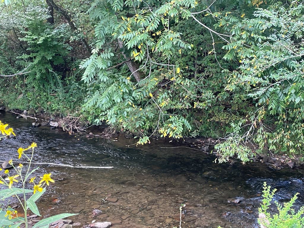 Land at 00 Highway 19, Andrews, NC 28901, photo 11 of 20