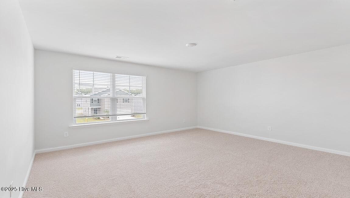 Interior photos are of similar home, actual home features and colors will vary - 1106 Pampas Grass Drive Lot 339, Castle Hayne, NC 28429