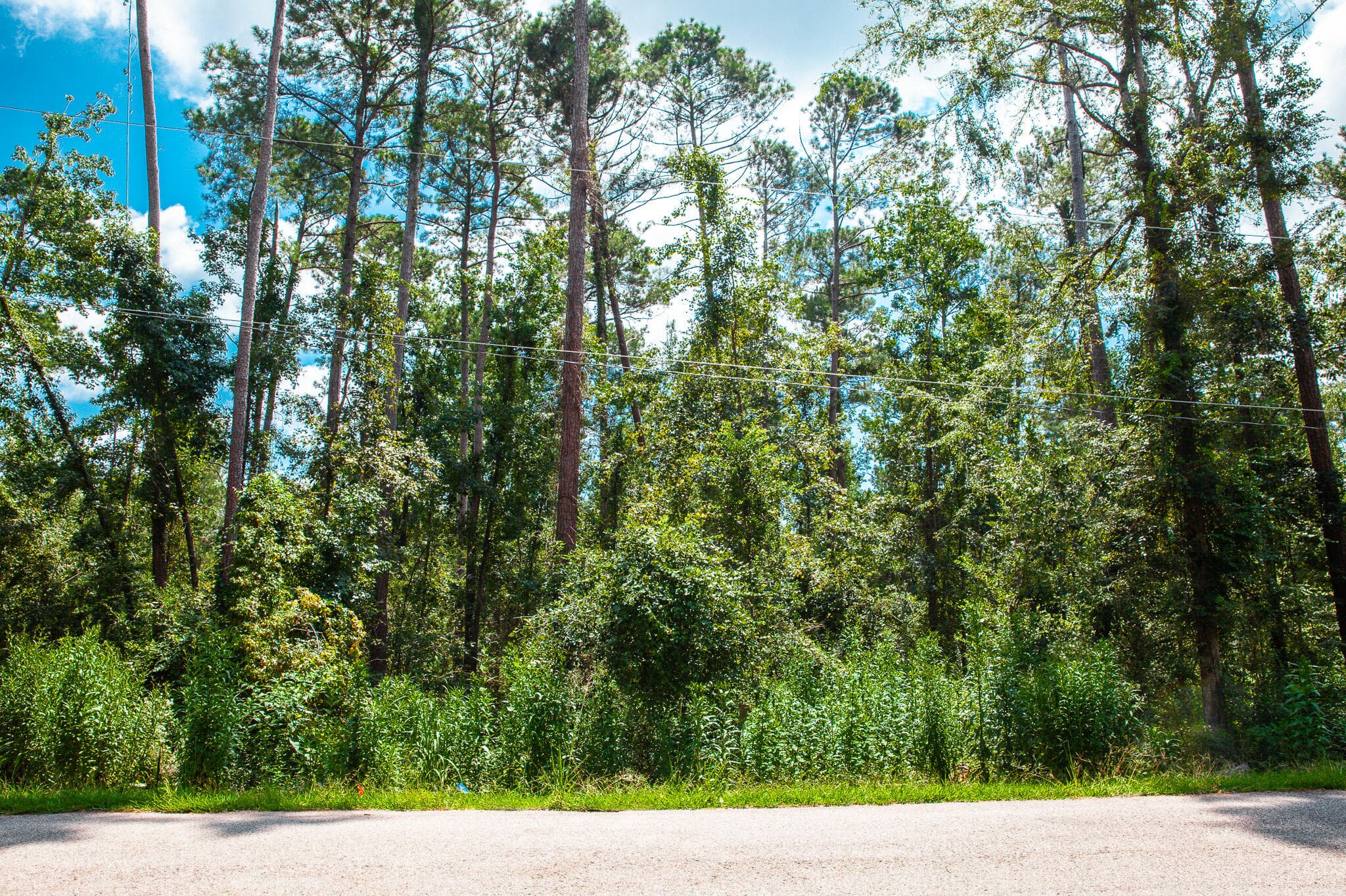 Undeveloped at Lot 18 Leyland Court, Clarks Hill, SC 29821, photo 4 of 9