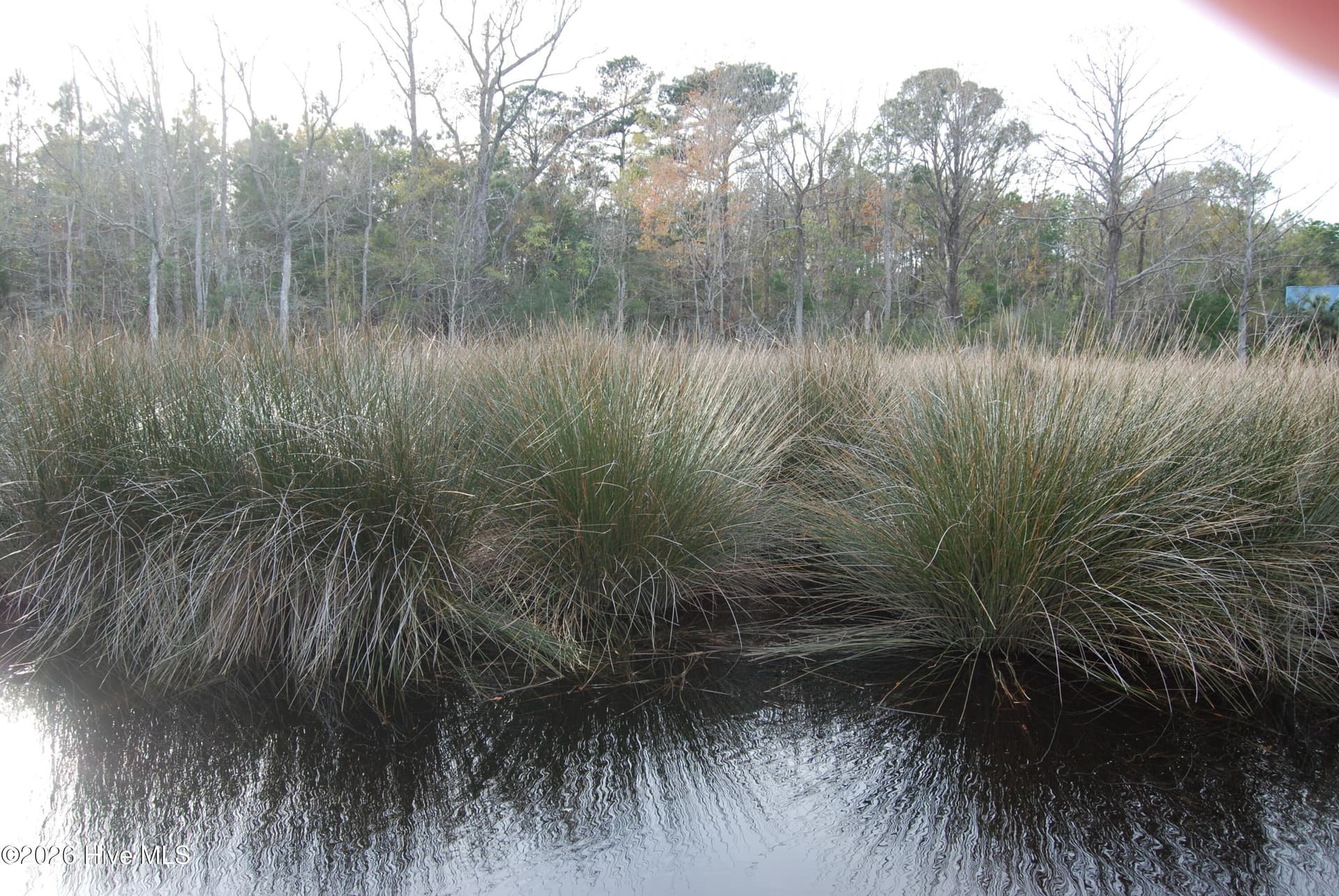 Residential Lot at 255 Wards Lane, Havelock, NC 28532, photo 6 of 8