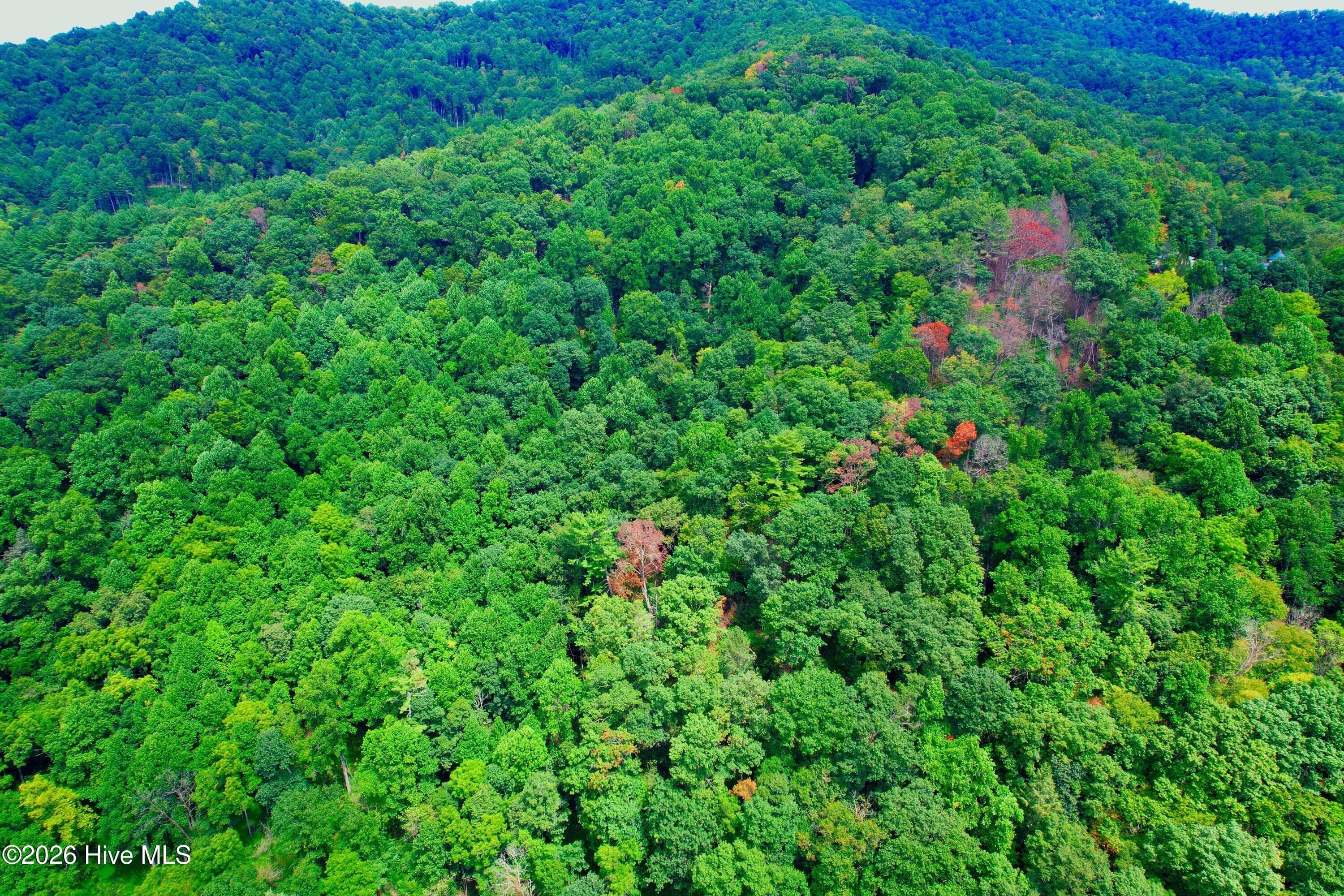 Undeveloped at 2872 Panther Creek Road, Clyde, NC 28721, photo 49 of 82