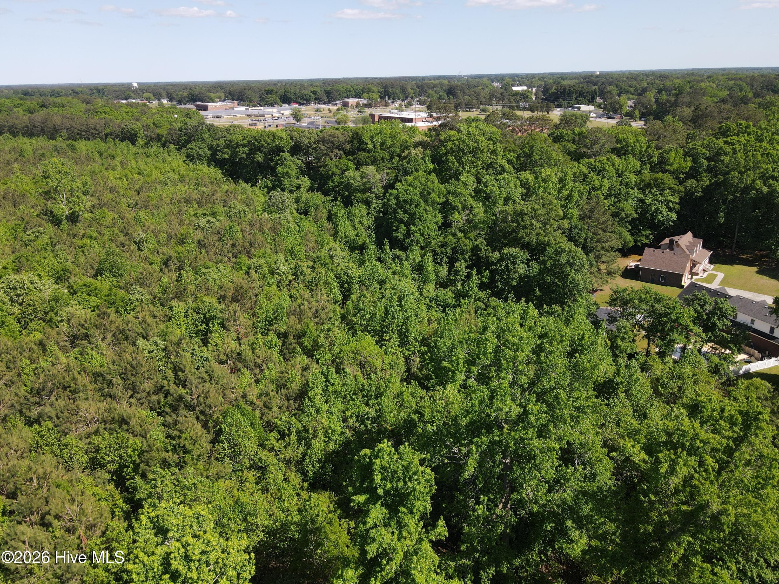 Undeveloped at 0 Colice Hall Lane, Ahoskie, NC 27910, photo 7 of 20