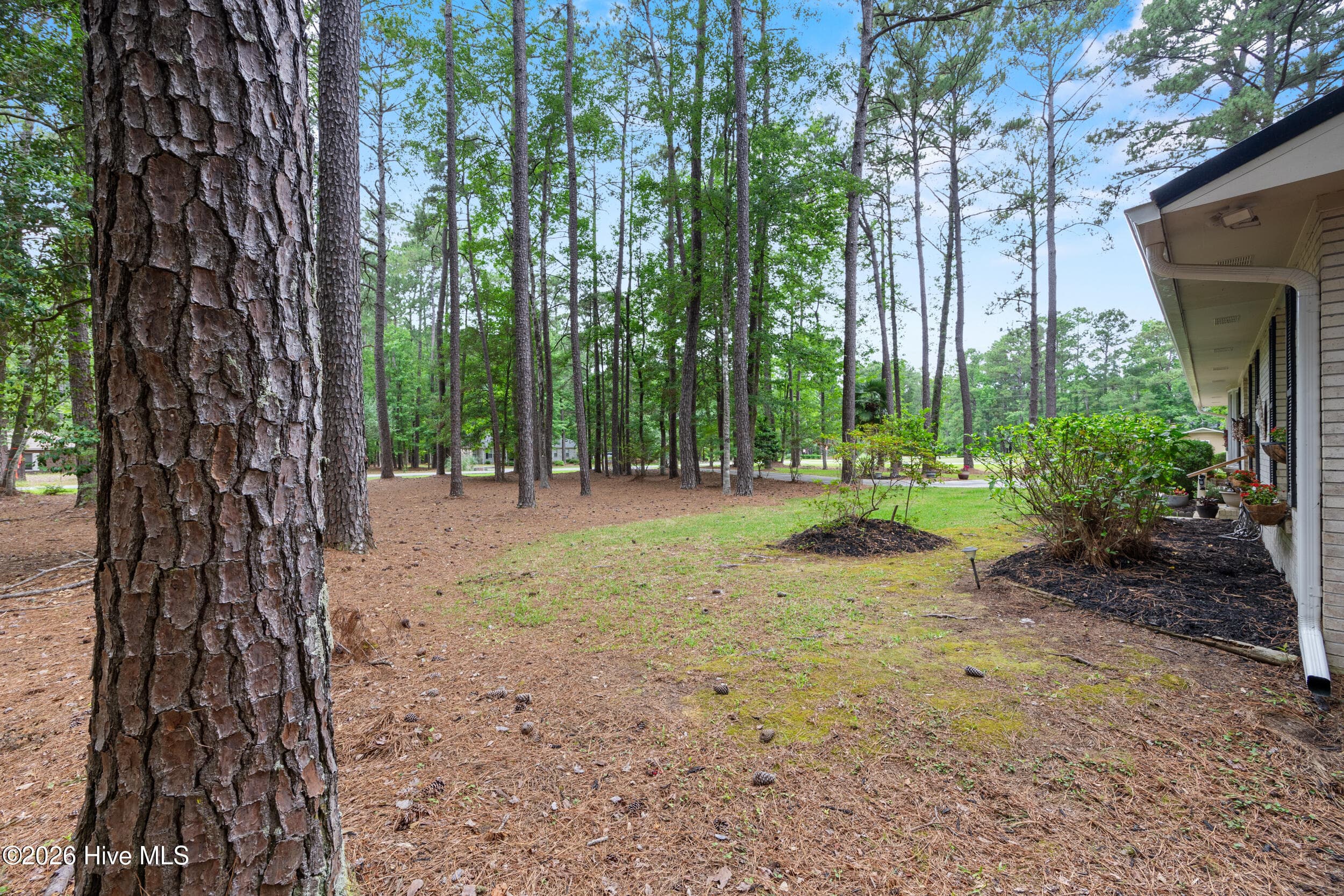View of Front Yard - 51 Sunfield Drive, Carolina Shores, NC 28467, Carolina Shores