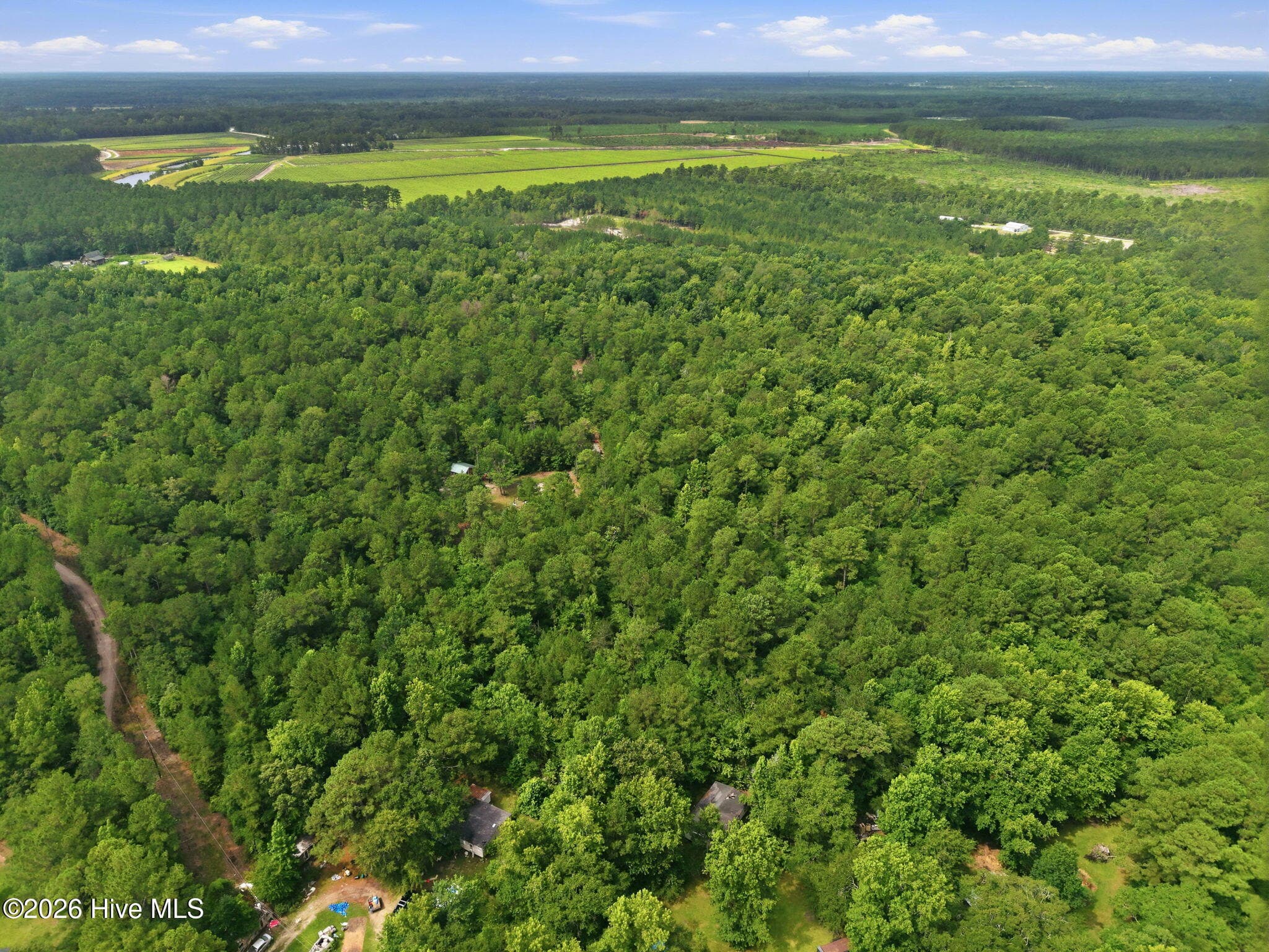 Undeveloped at 0 Copperhead Lane, Burgaw, NC 28425, photo 10 of 24