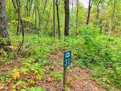 Lot 31 31 Skyview Trail, Hayesville, NC 28904