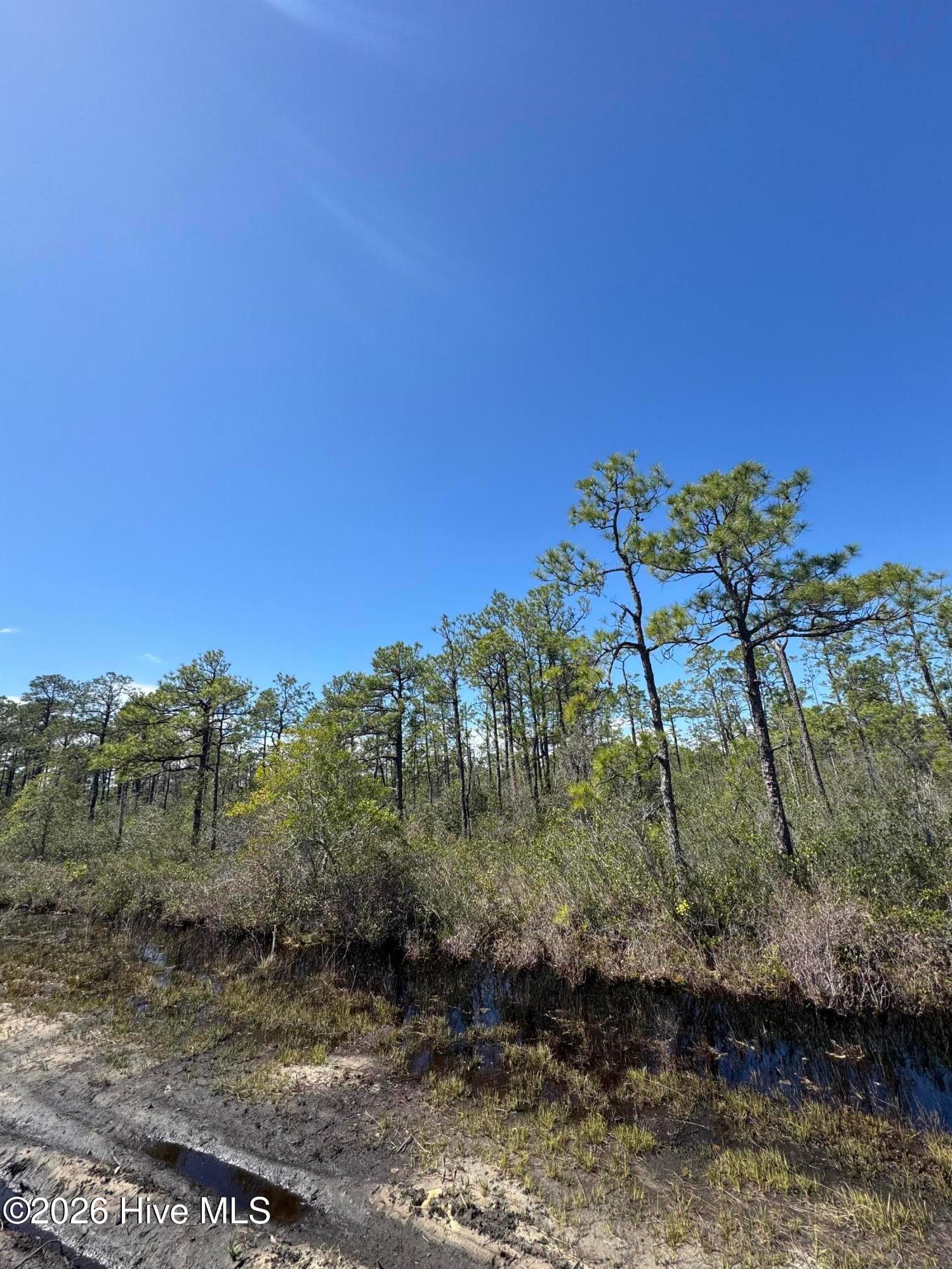 Lot 316 Columbus Road, Boiling Spring Lakes, NC 28461