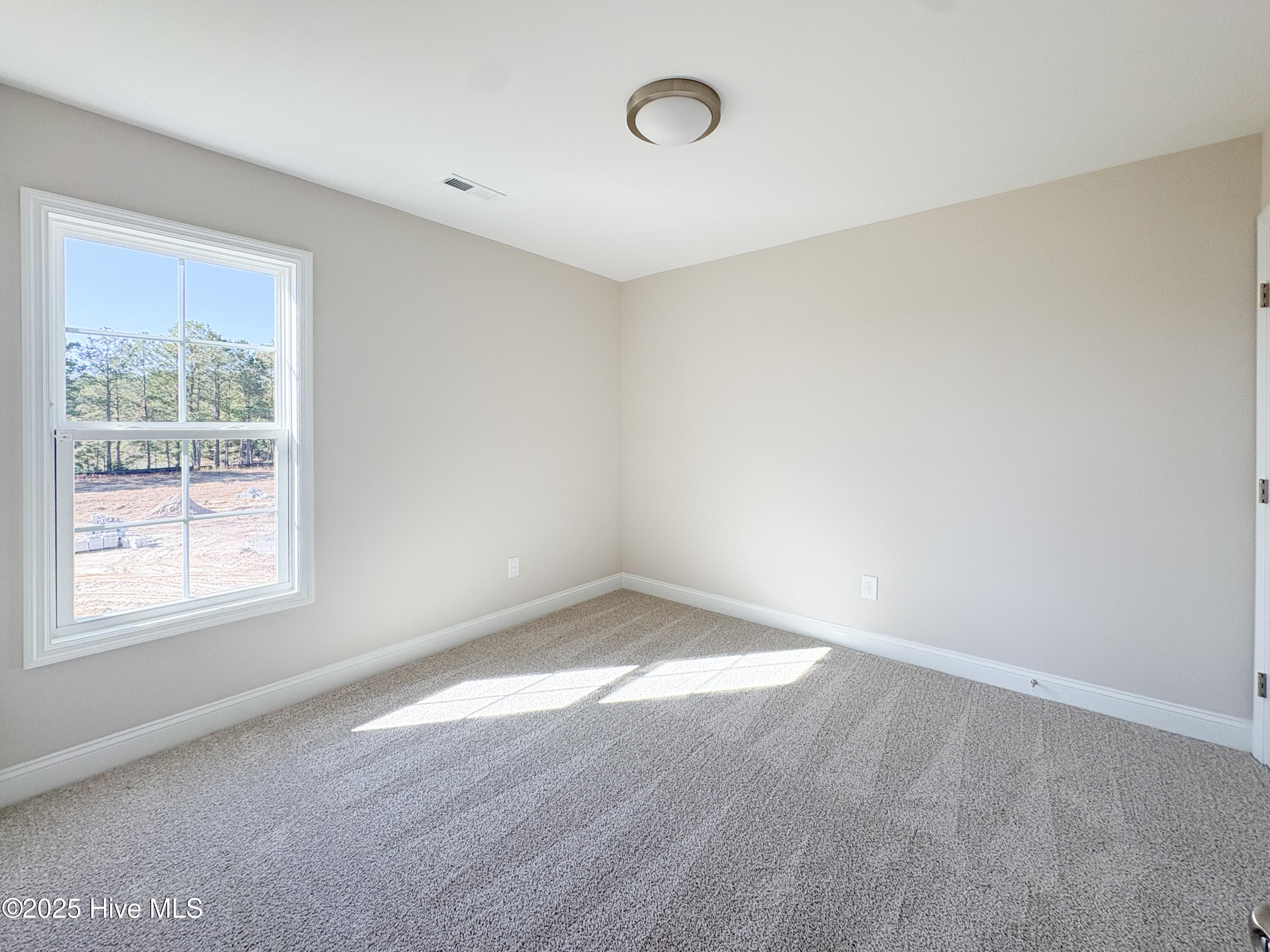 Single Family Residence at 911 Wild Azalea Way, Hubert, NC 28539, photo 6 of 9