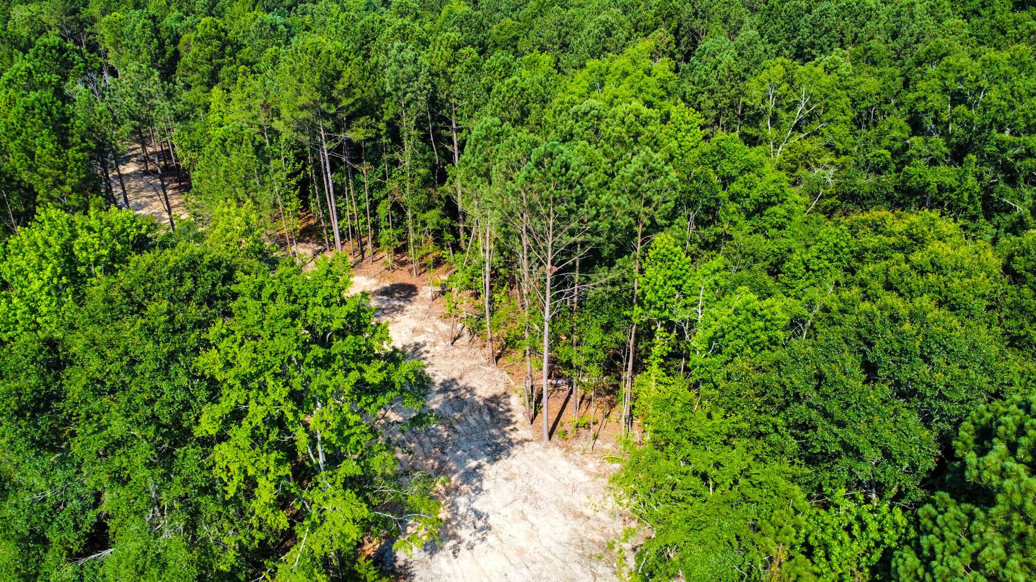 Undeveloped at 0 Backway Road, Lincolnton, GA 30817, photo 21 of 48