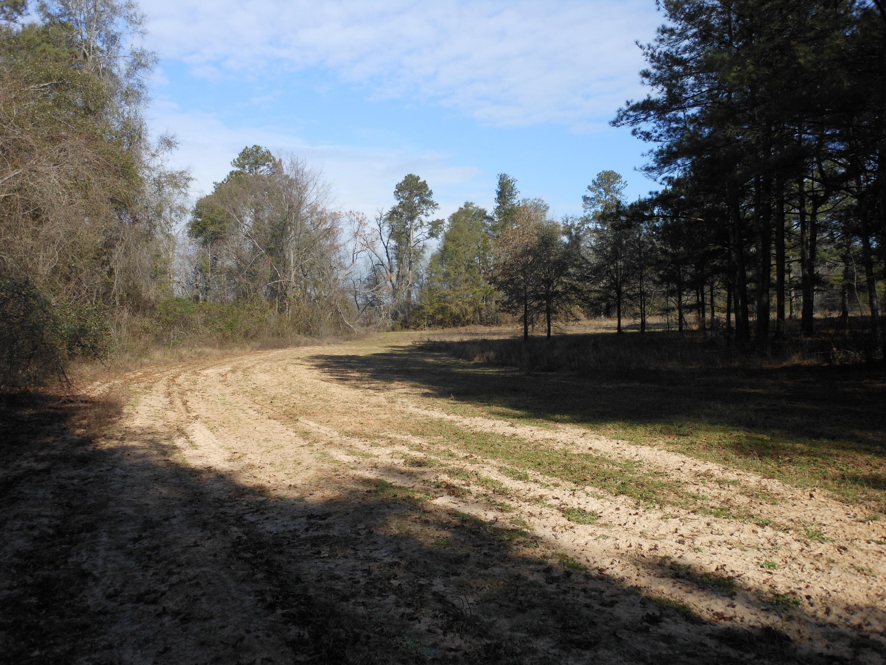 Undeveloped at 0 Ponderosa Road, Waynesboro, GA 30830, photo 44 of 45