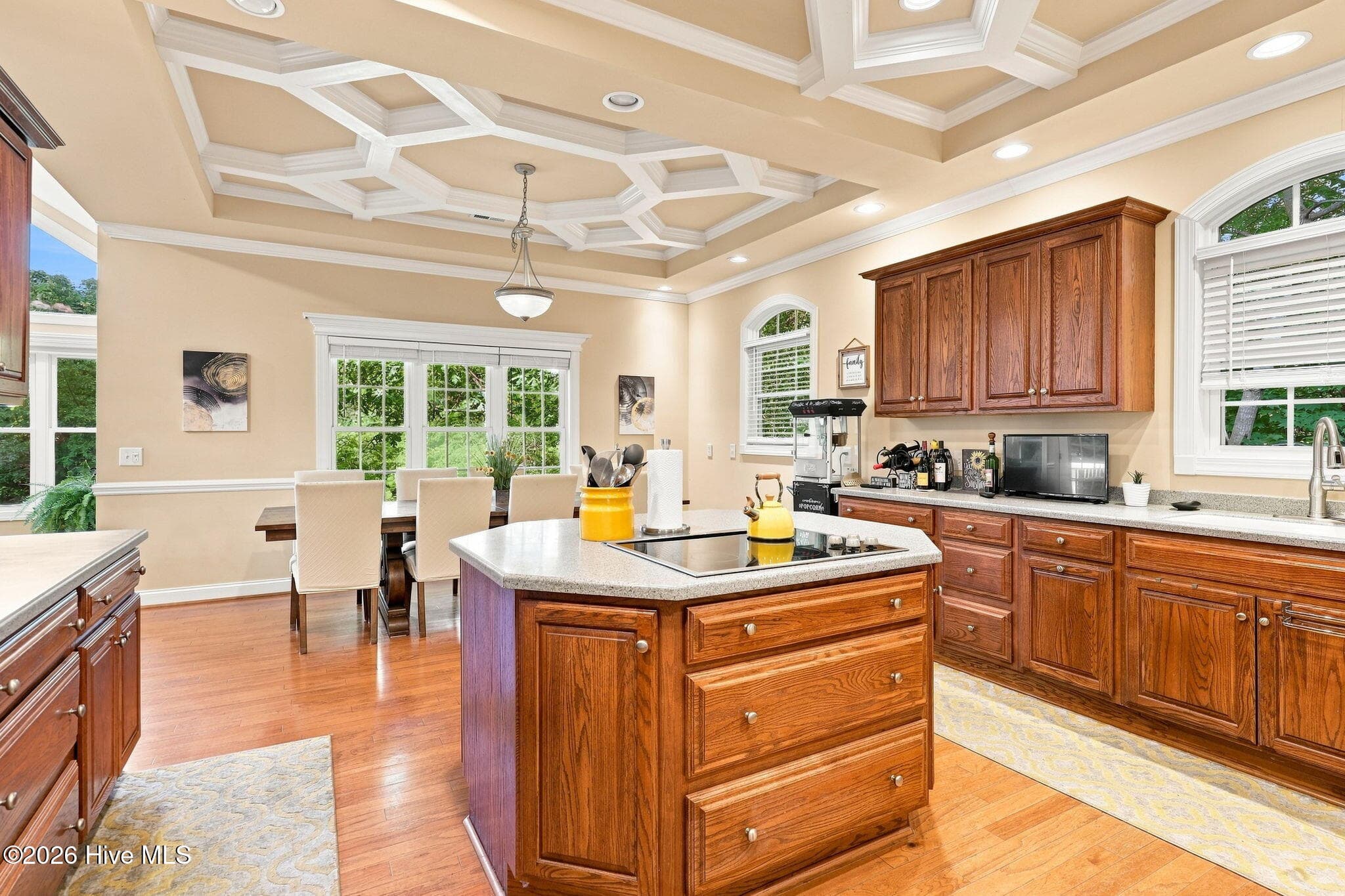 Single Family Residence at 3233 Leicester Circle, Sanford, NC 27332, photo 5 of 52