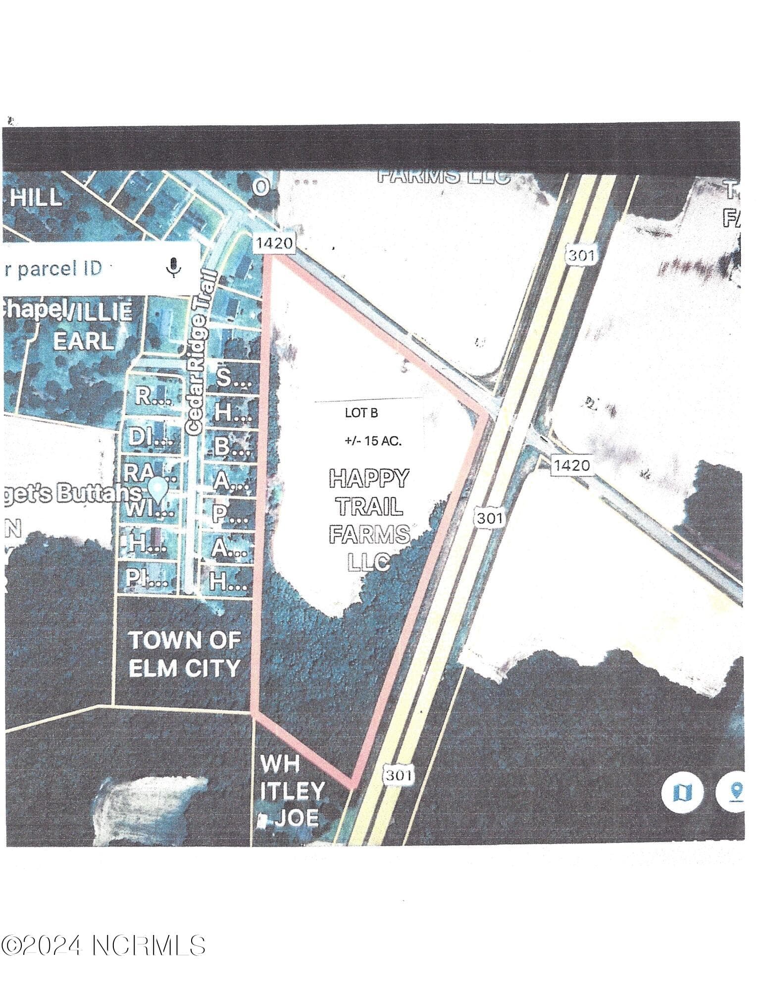 Residential Lot at Lot B Us 301 Highway N, Elm City, NC 27822, photo 2 of 2