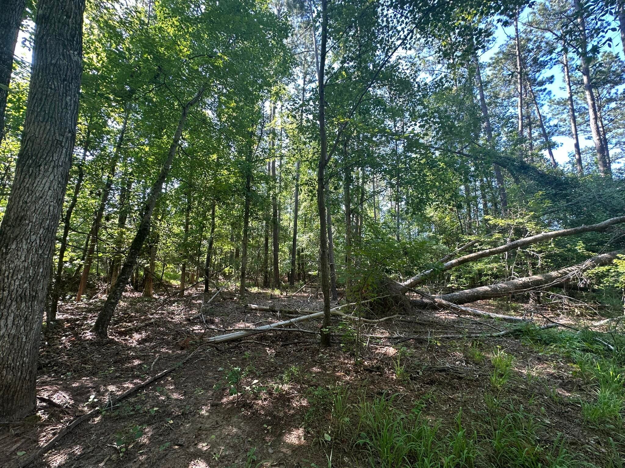 Mixed Use at Lot 3a 3A Elberton Highway, Lincolnton, GA 30817, photo 16 of 27