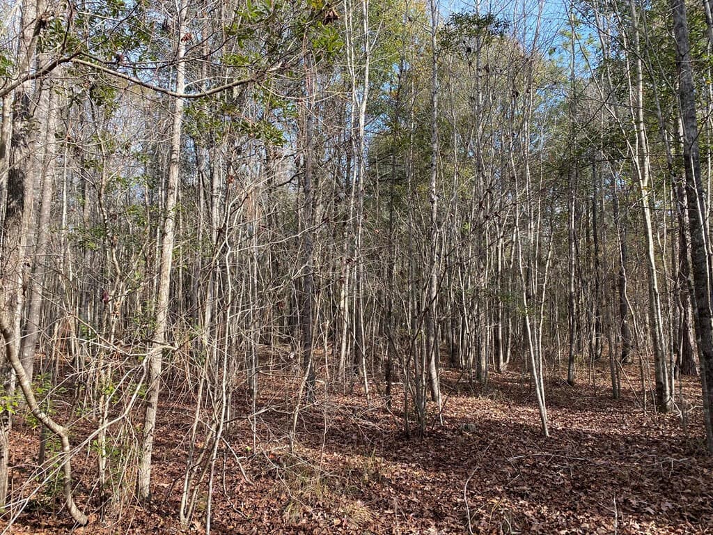 Residential Lot at Lot 14 14 Robin Boulevard, Swainsboro, GA 30401, photo 2 of 8