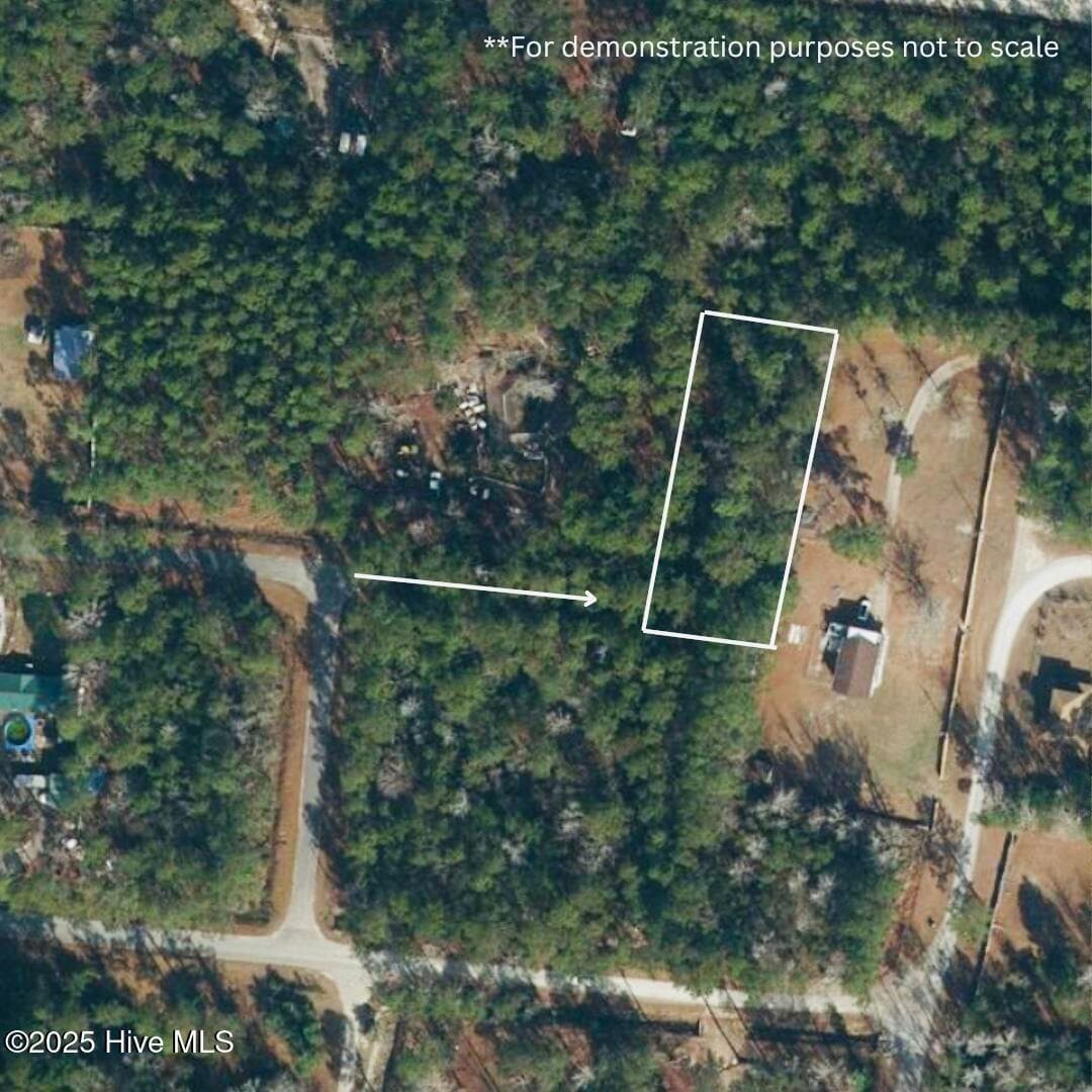 Wooded at 6670 1 Hewitt Street NW, Ocean Isle Beach, NC 28469, photo 3 of 8